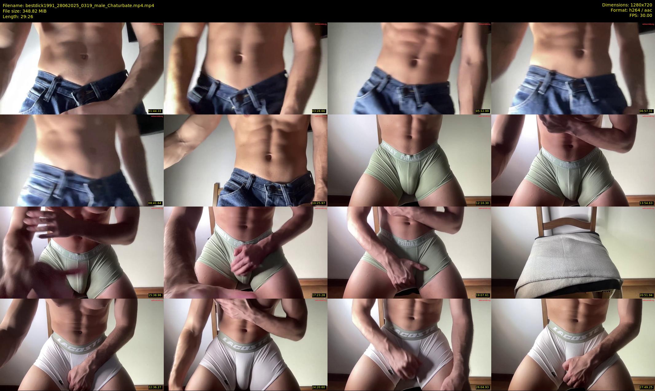 bestdick1991 — 30 minute Chaturbate male cam show recording, 720p, Jun 28, 2025
