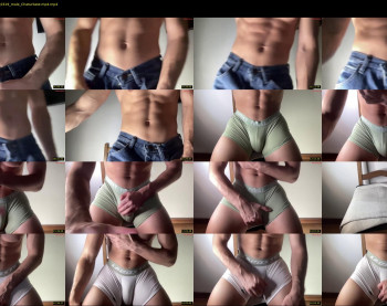 bestdick1991 — 30 minute Chaturbate male cam show recording, 720p, Jun 28, 2025
