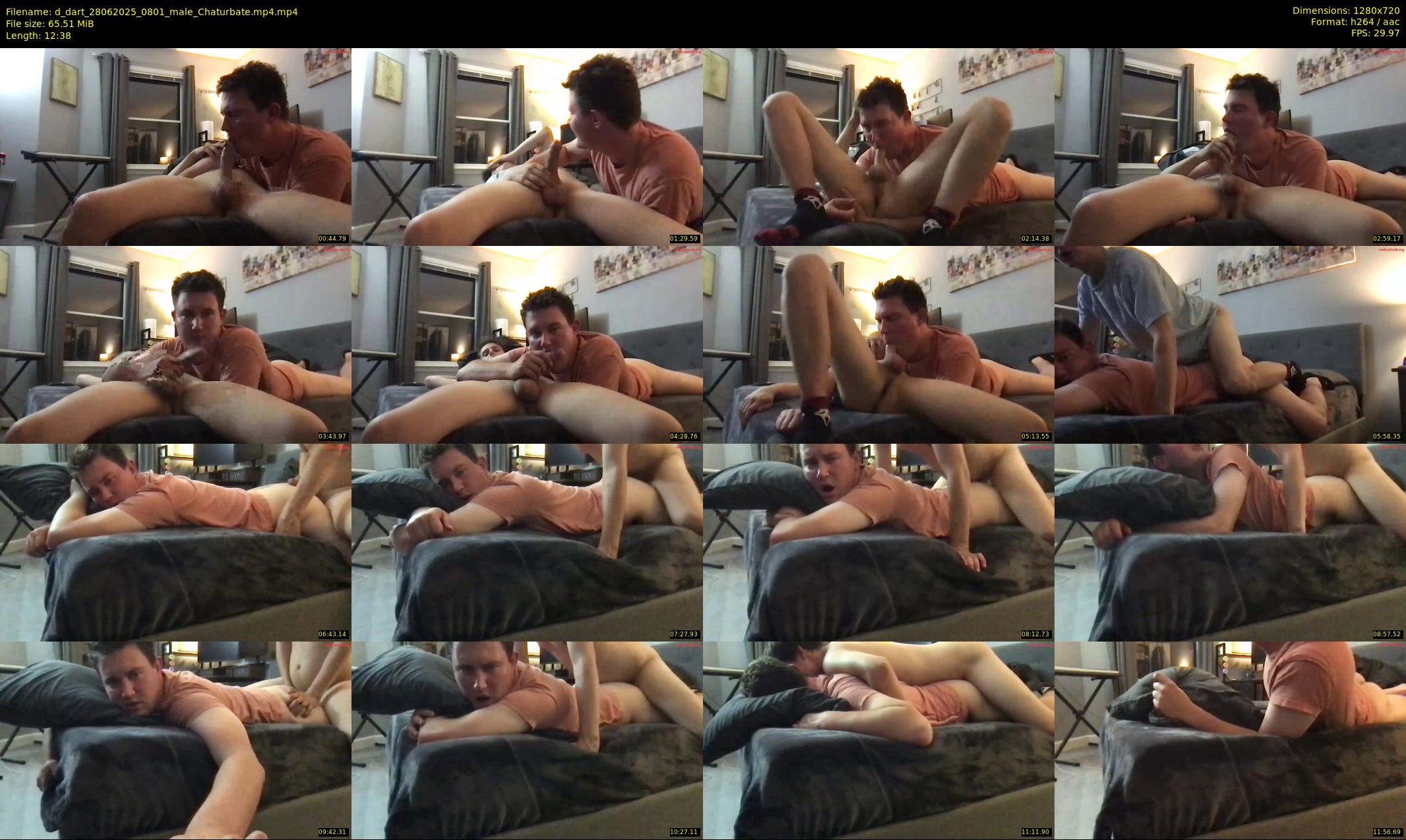 d_dart — 13 minute Chaturbate male cam show recording, 720p, Jun 28, 2025