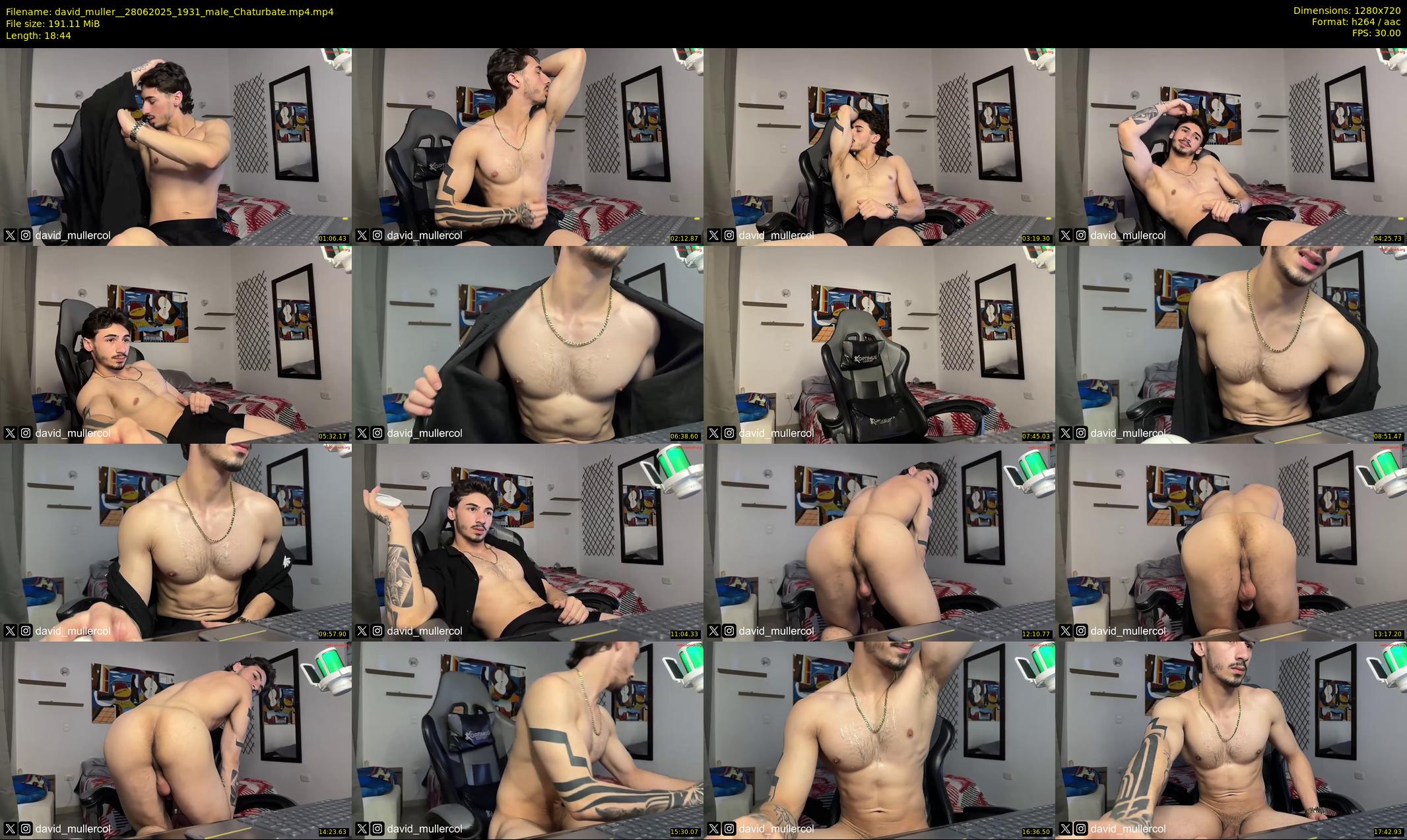 david_muller_ — 19 minute Chaturbate male cam show recording, 720p, Jun 28, 2025