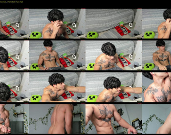 fit_prince_ — 20 minute Chaturbate male cam show recording, 720p, Jun 28, 2025
