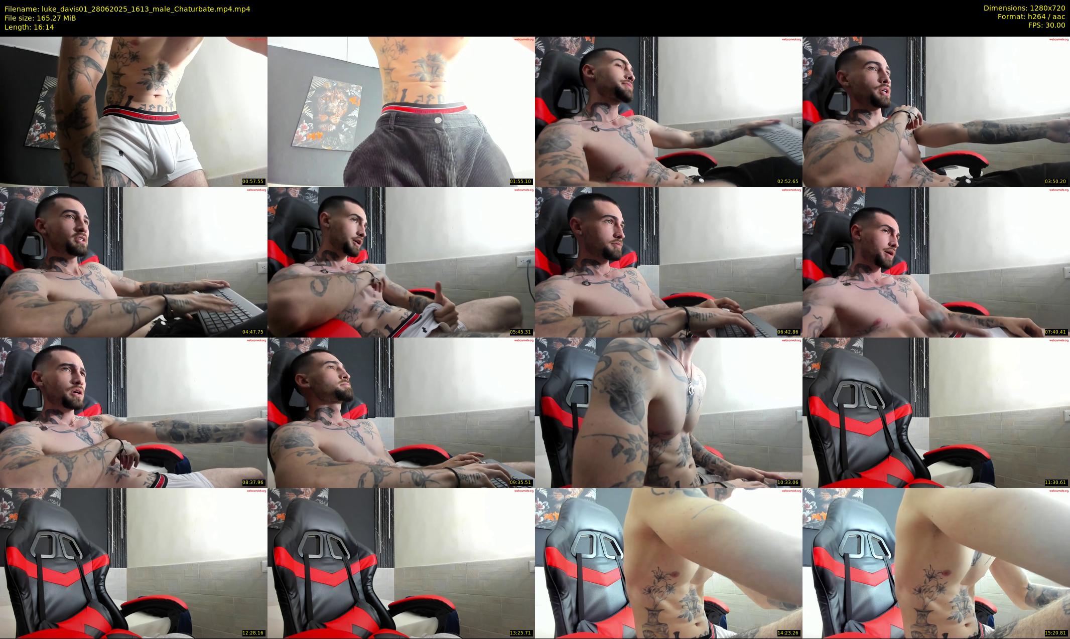 luke_davis01 — 17 minute Chaturbate male cam show recording, 720p, Jun 28, 2025