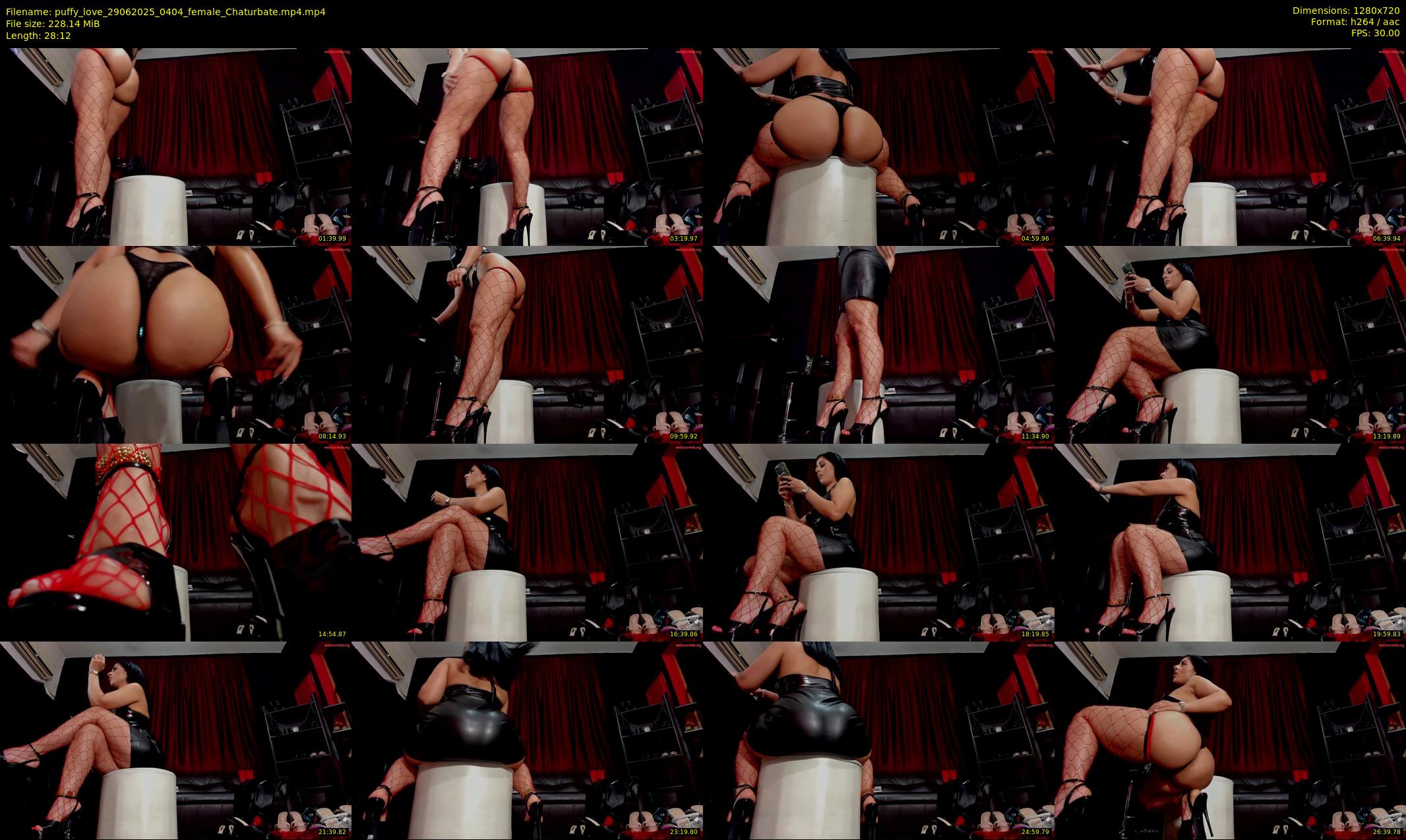 puffy_love — 29 minute Chaturbate female cam show recording, 720p, Jun 29, 2025