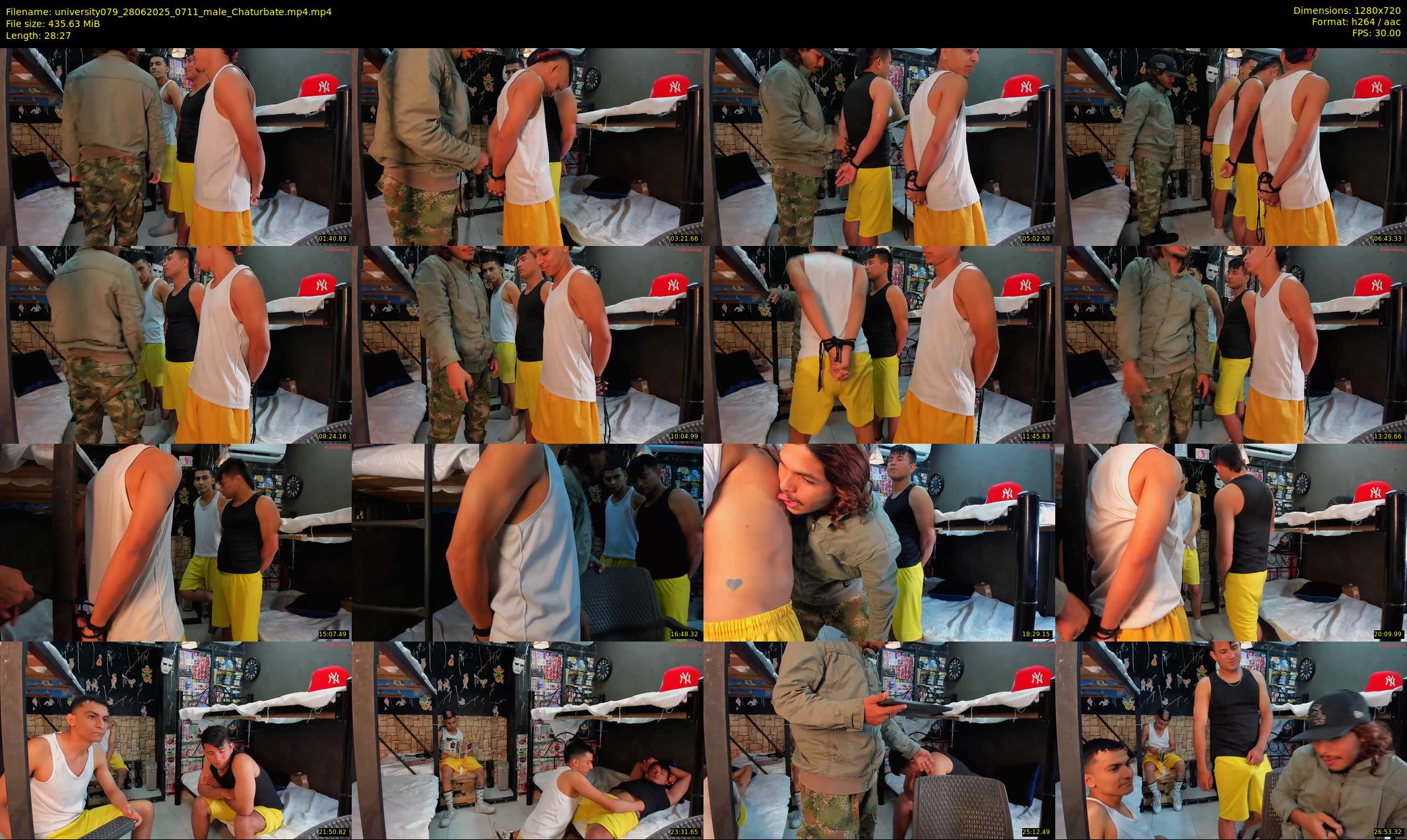 university079 — 29 minute Chaturbate male cam show recording, 720p, Jun 28, 2025