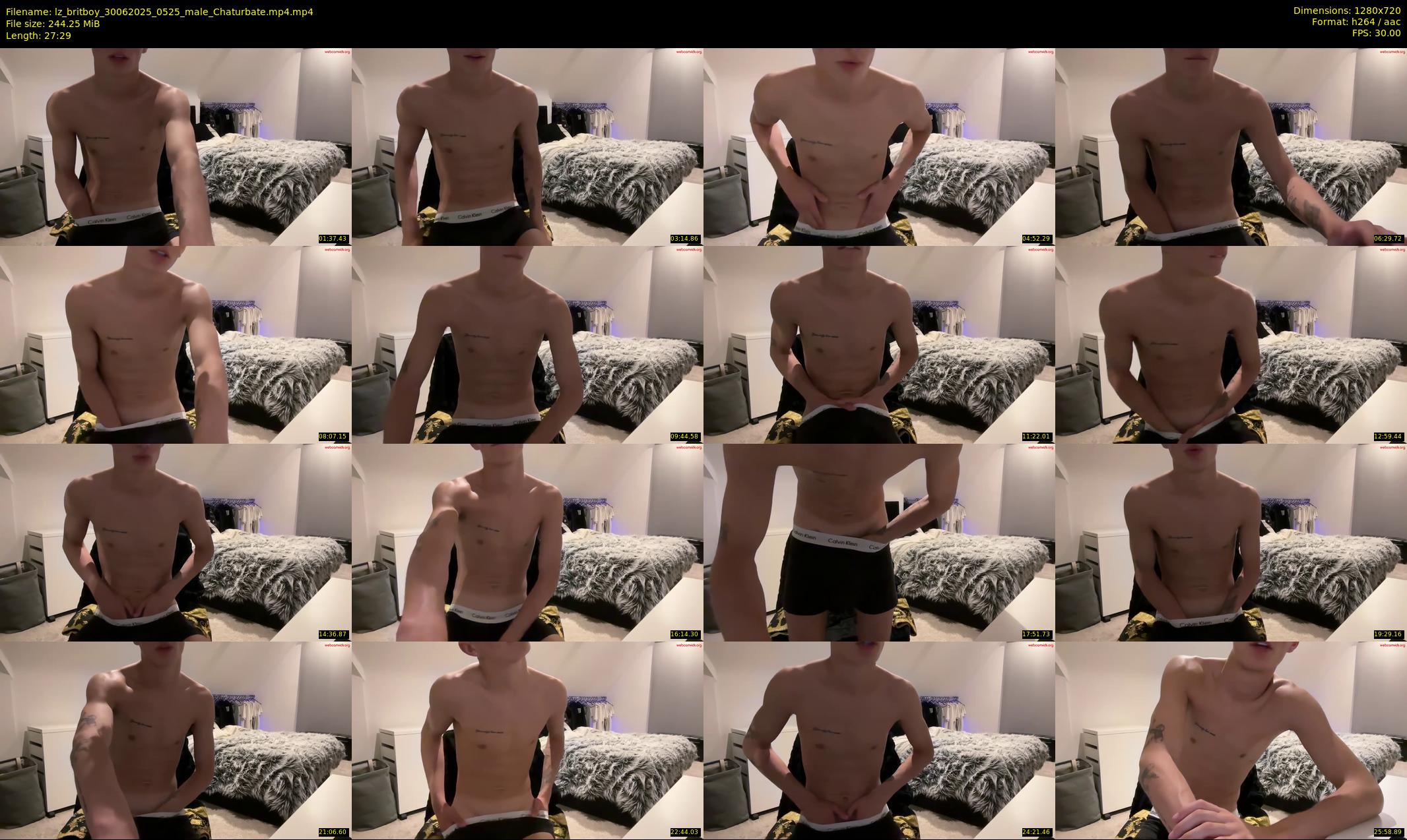 lz_britboy — 28 minute Chaturbate male cam show recording, 720p, Jun 30, 2025