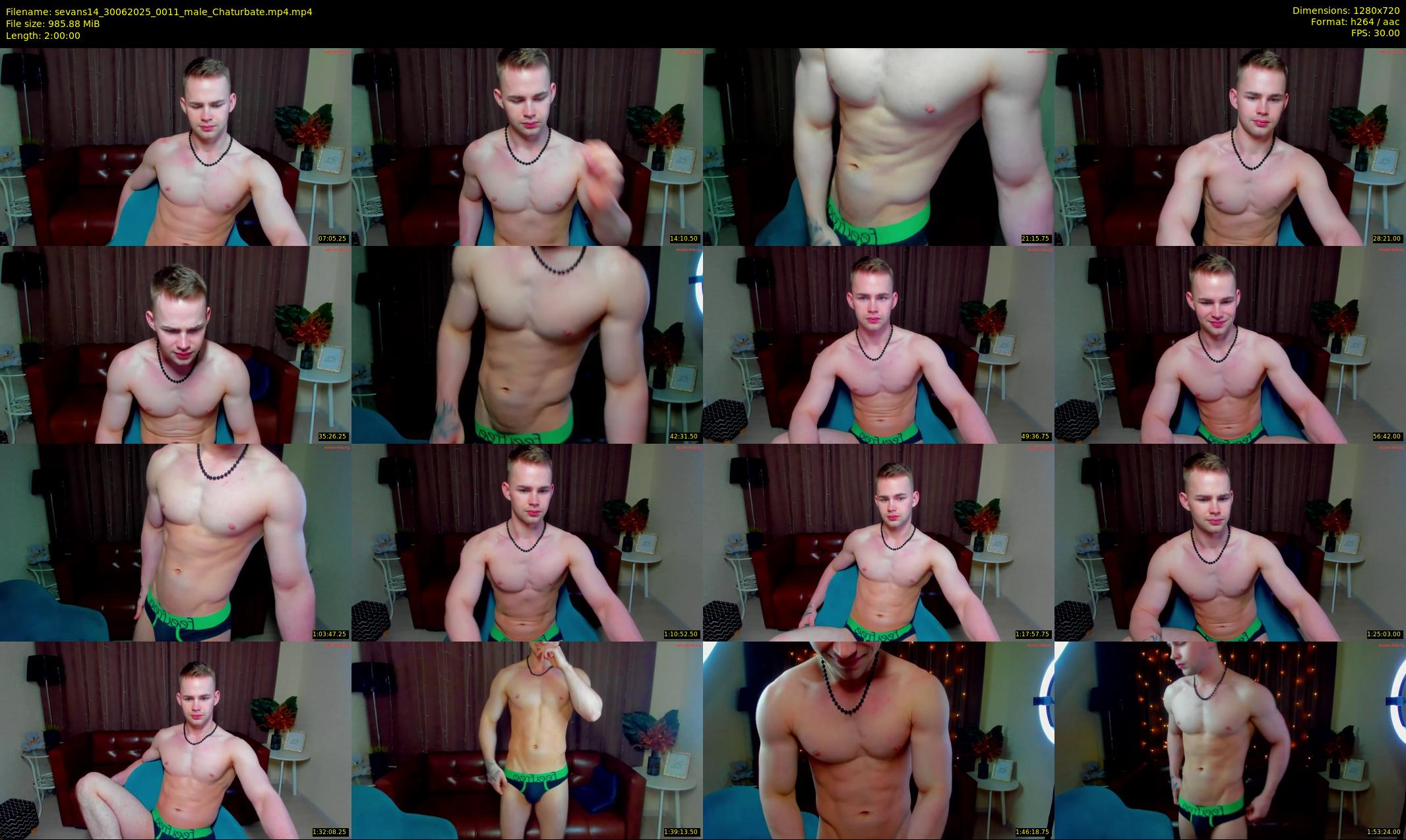 sevans14 — 120 minute Chaturbate male cam show recording, 720p, Jun 30, 2025