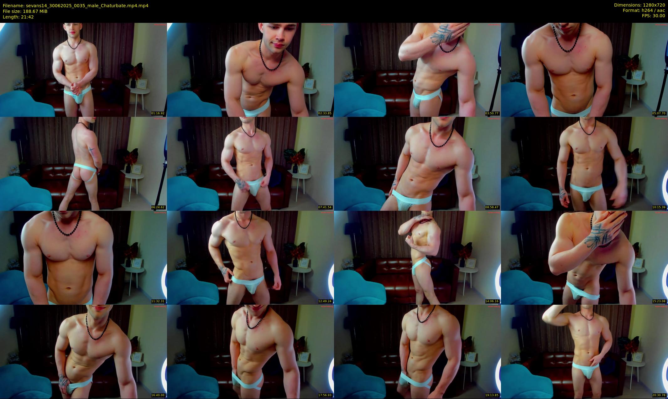 sevans14 — 22 minute Chaturbate male cam show recording, 720p, Jun 30, 2025