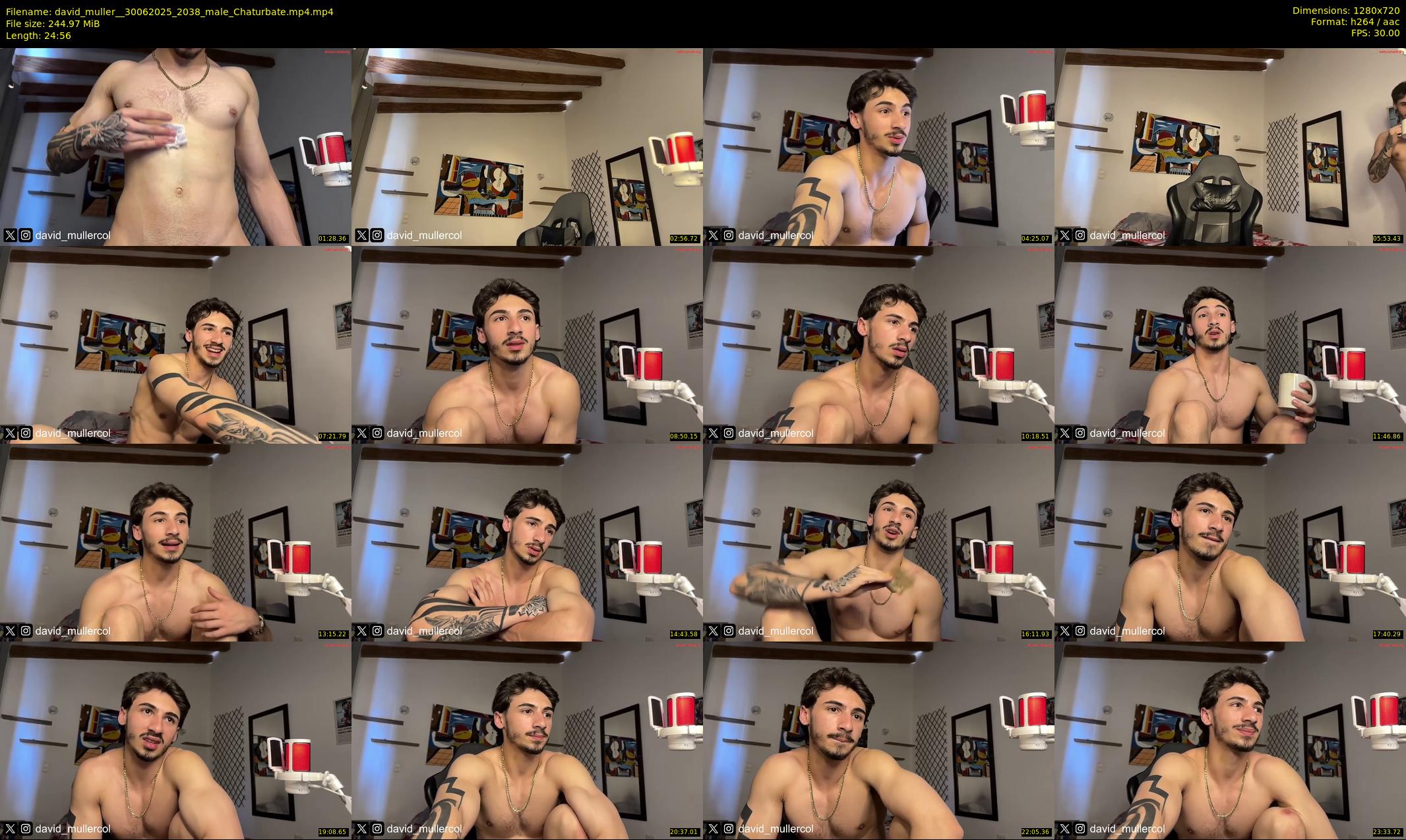 david_muller_ — 25 minute Chaturbate male cam show recording, 720p, Jun 30, 2025