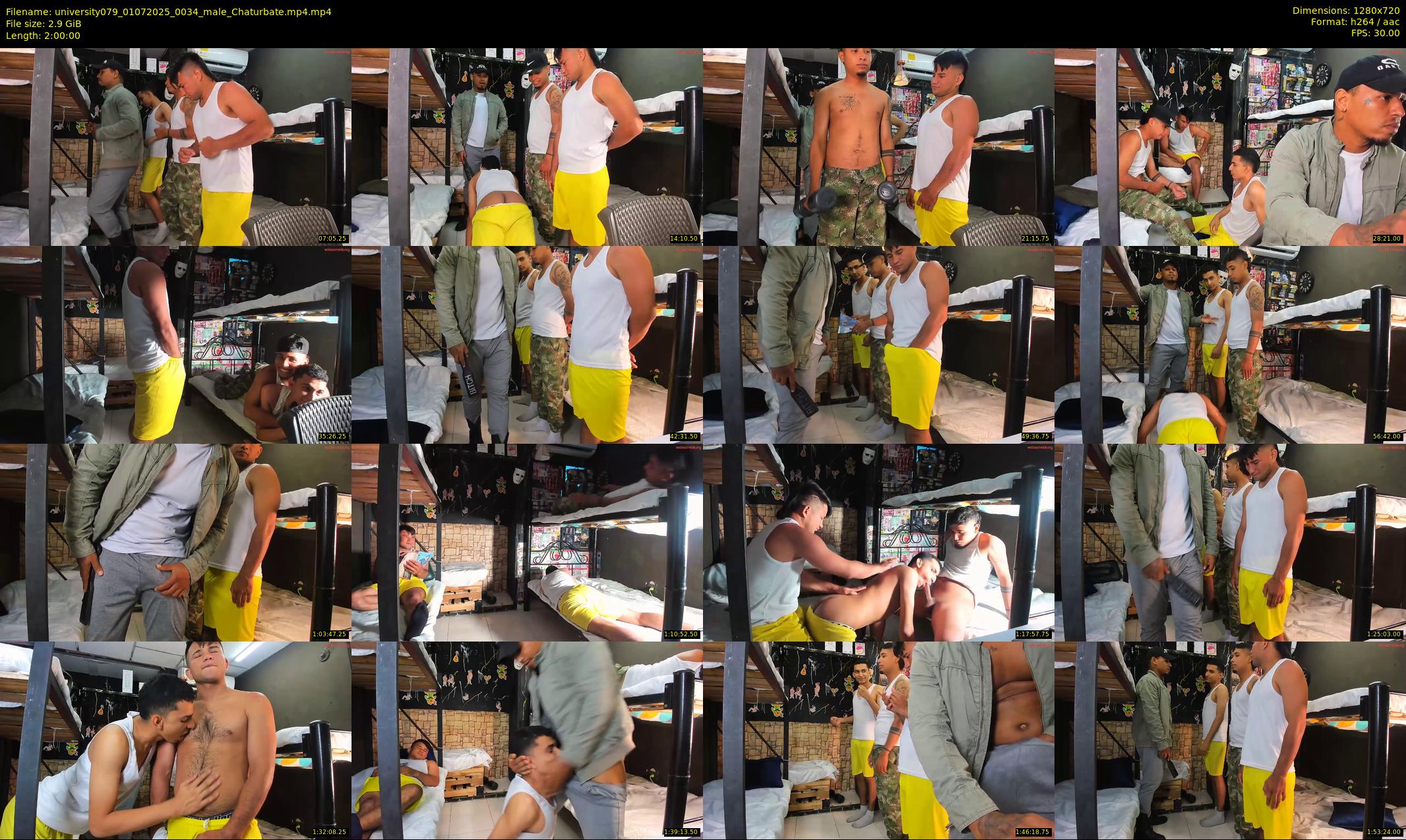 university079 — 120 minute Chaturbate male cam show recording, 720p, Jul 1, 2025