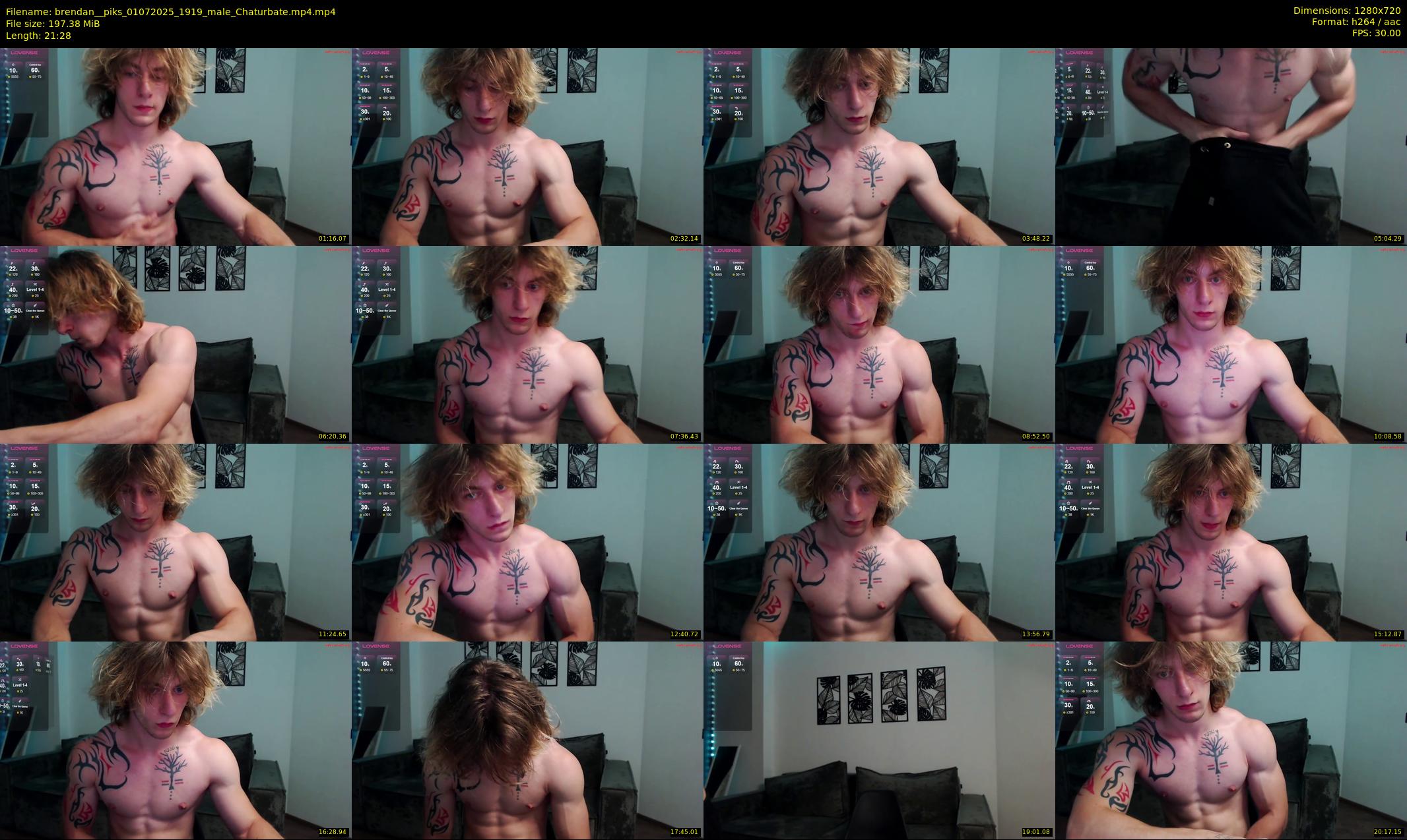brendan__piks — 22 minute Chaturbate male cam show recording, 720p, Jul 1, 2025