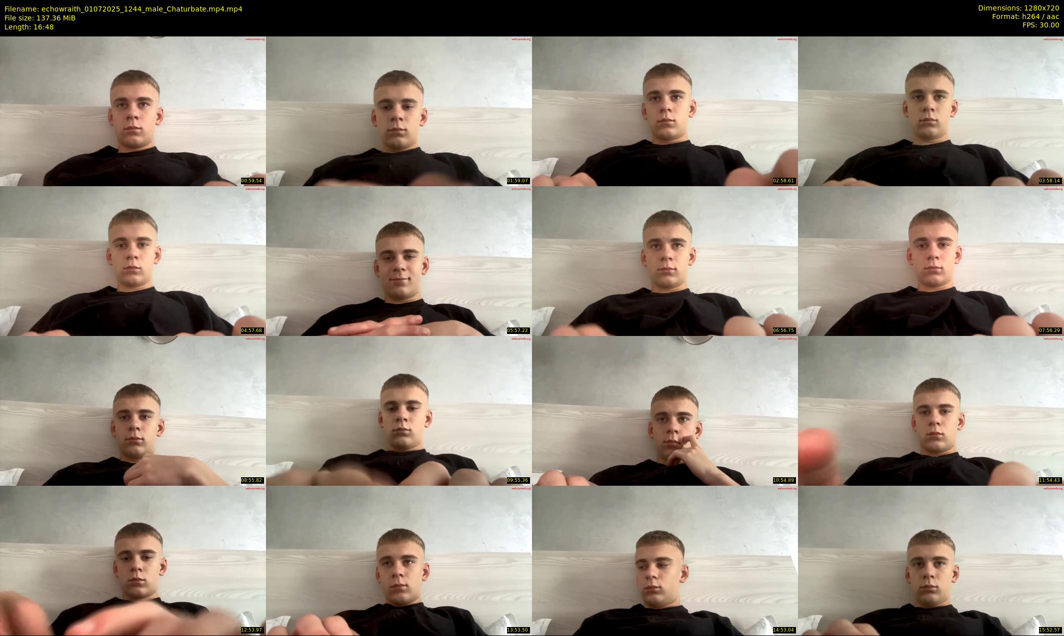 echowraith — 17 minute Chaturbate male cam show recording, 720p, Jul 1, 2025