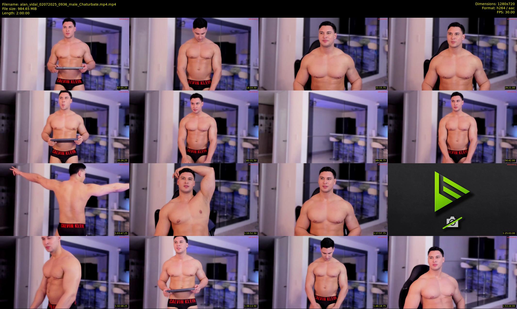 alan_vidal — 120 minute Chaturbate male cam show recording, 720p, Jul 2, 2025