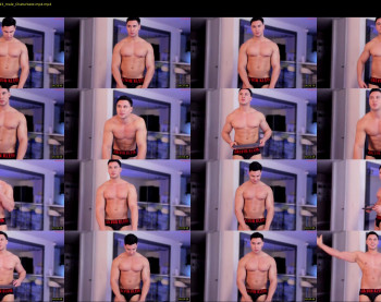 alan_vidal — 6 minute Chaturbate male cam show recording, 720p, Jul 2, 2025
