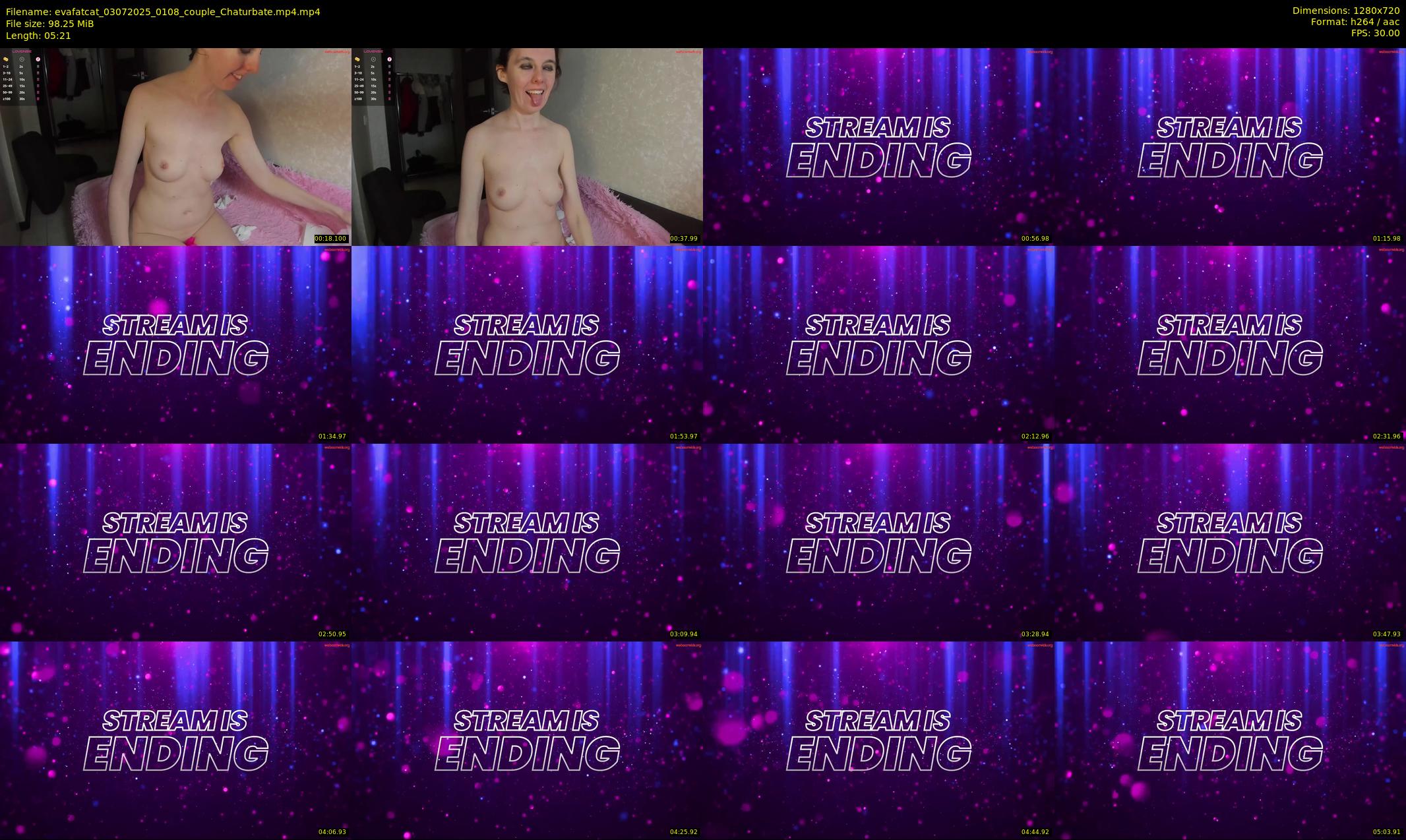 evafatcat — 6 minute Chaturbate couple cam show recording, 720p, Jul 3, 2025
