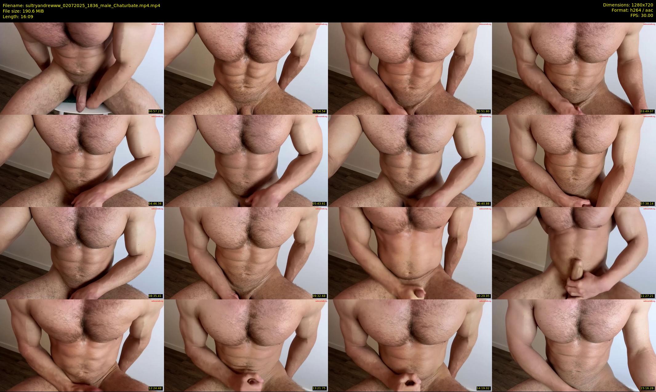 sultryandrewww — 17 minute Chaturbate male cam show recording, 720p, Jul 2, 2025