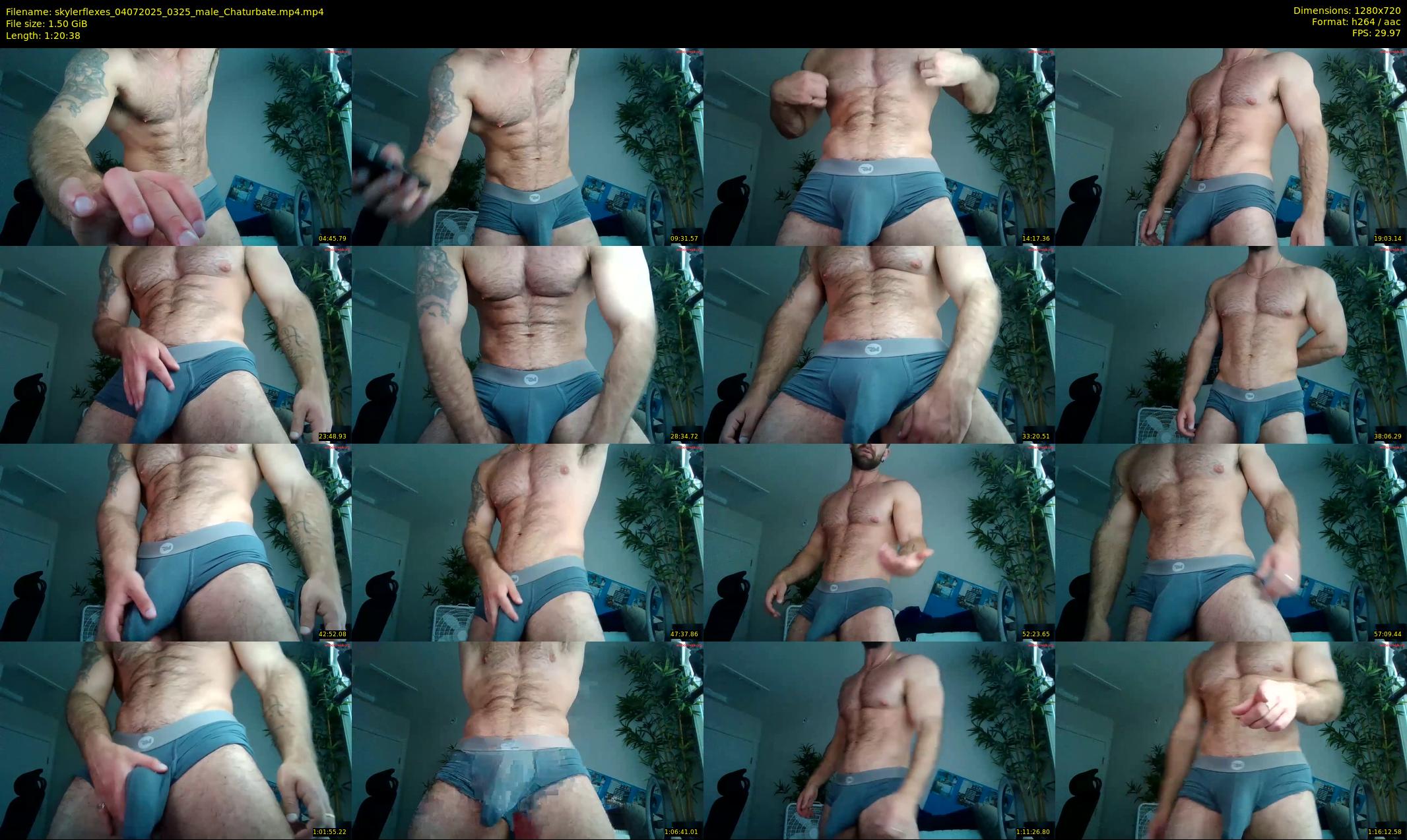skylerflexes — 81 minute Chaturbate male cam show recording, 720p, Jul 4, 2025