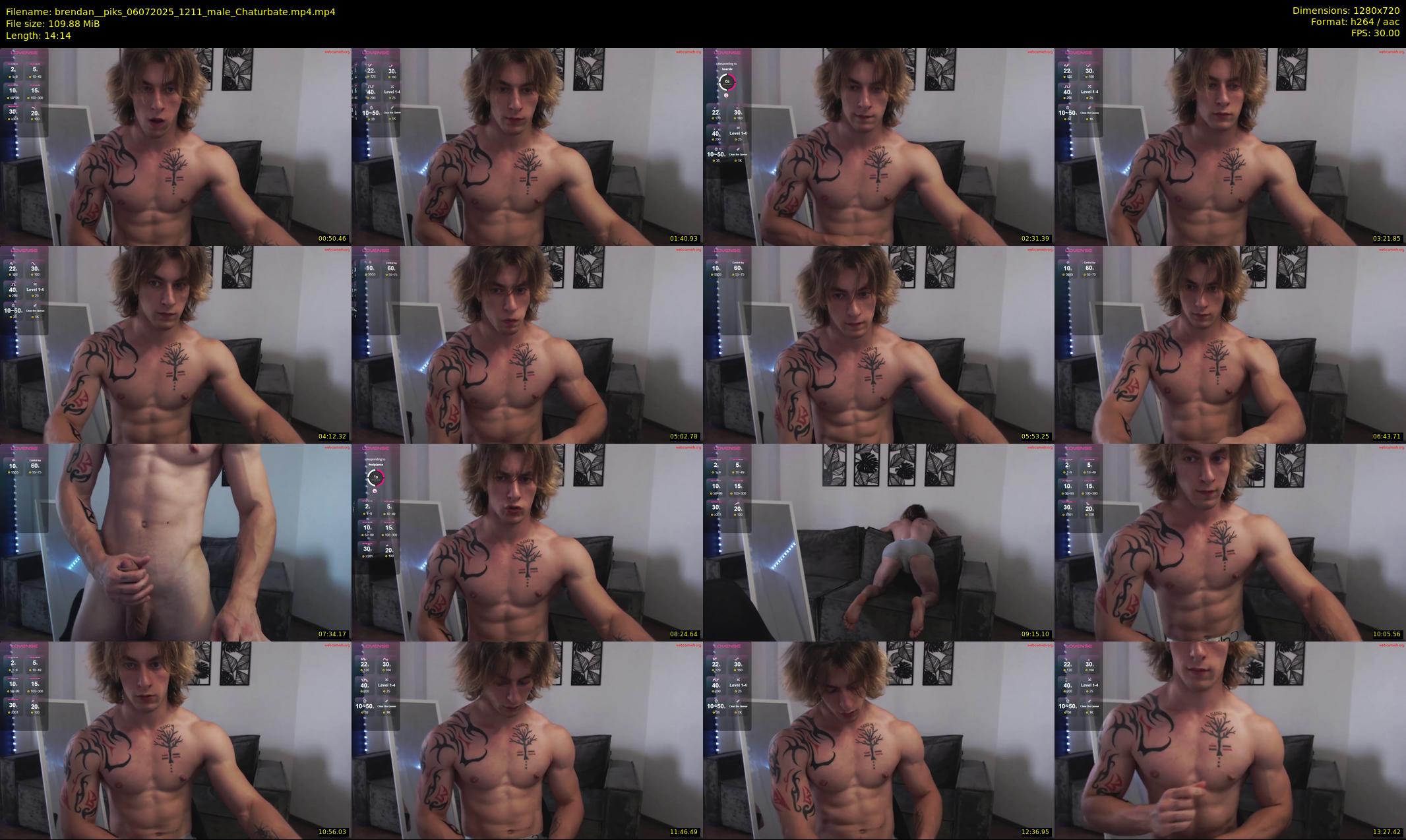 brendan__piks — 15 minute Chaturbate male cam show recording, 720p, Jul 6, 2025