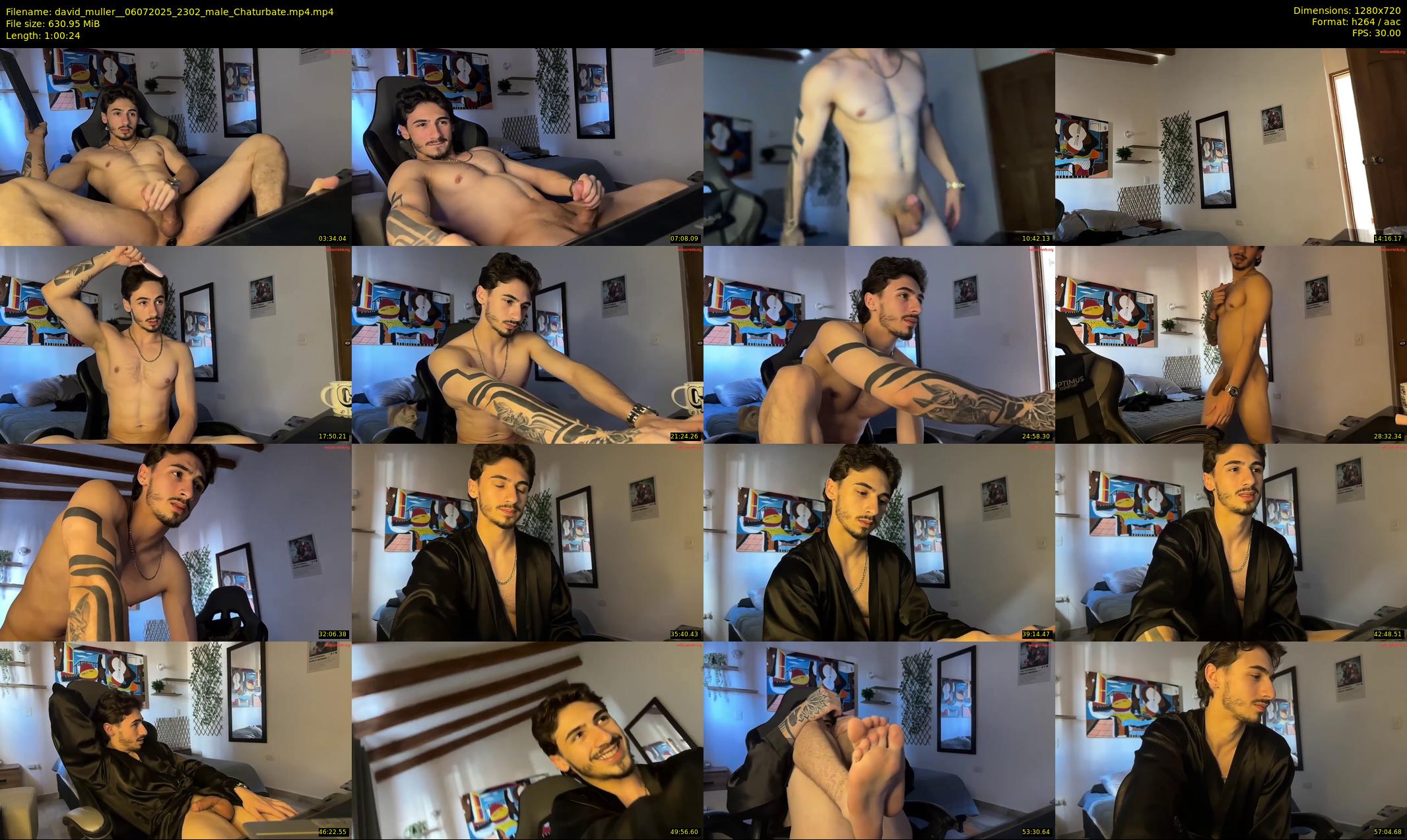 david_muller_ — 61 minute Chaturbate male cam show recording, 720p, Jul 6, 2025