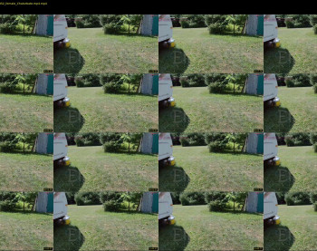 ells_palace — 17 minute Chaturbate female cam show recording, 720p, Jul 6, 2025