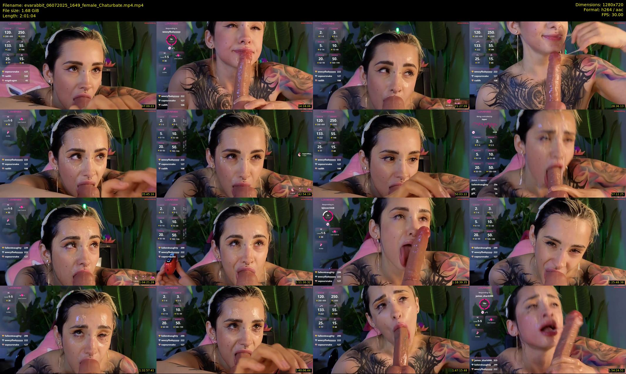 evarabbit — 122 minute Chaturbate female cam show recording, 720p, Jul 6, 2025