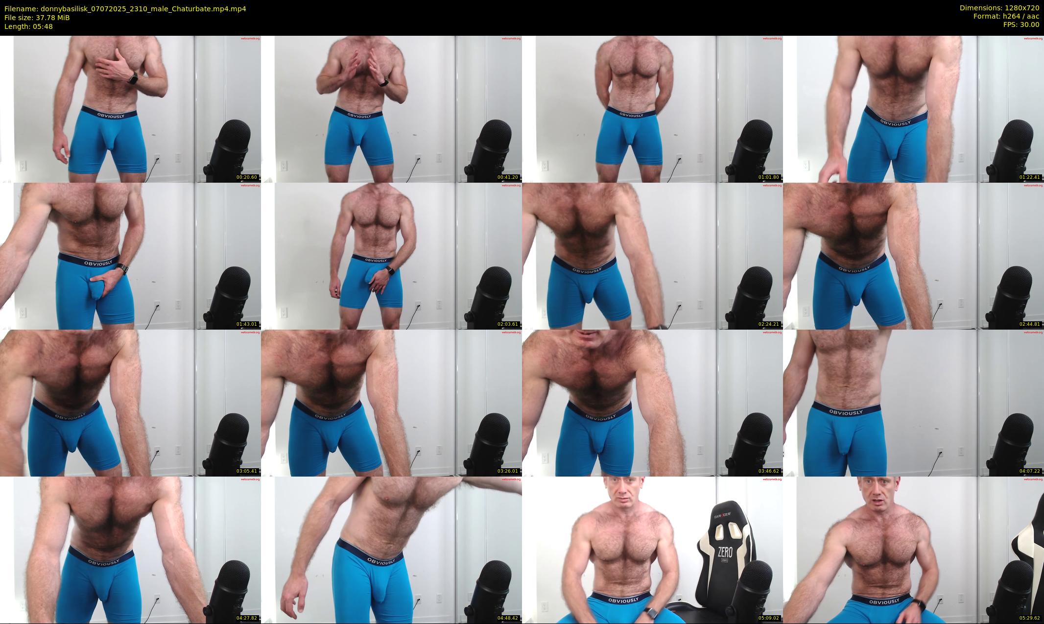donnybasilisk — 6 minute Chaturbate male cam show recording, 720p, Jul 7, 2025