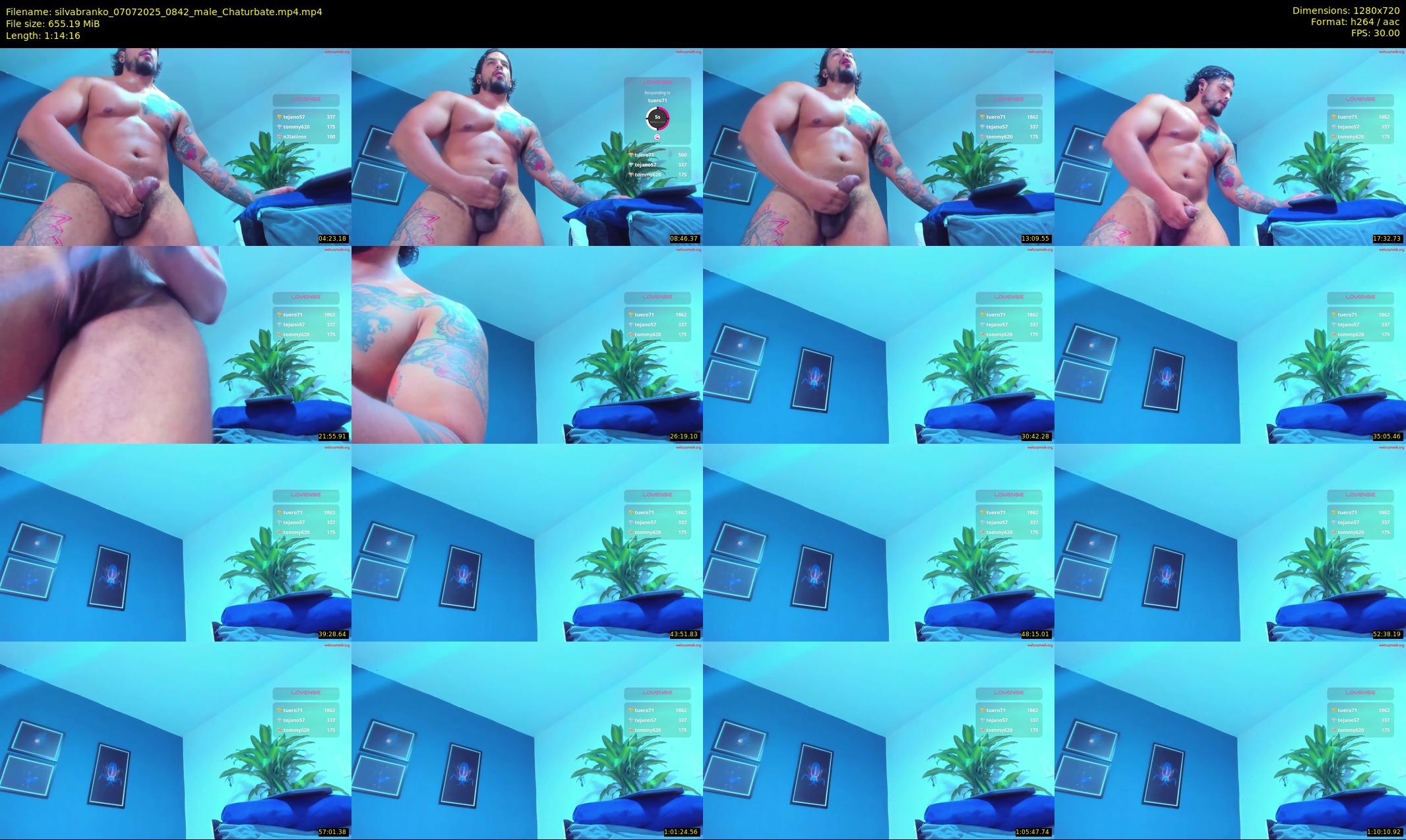 silvabranko — 75 minute Chaturbate male cam show recording, 720p, Jul 7, 2025