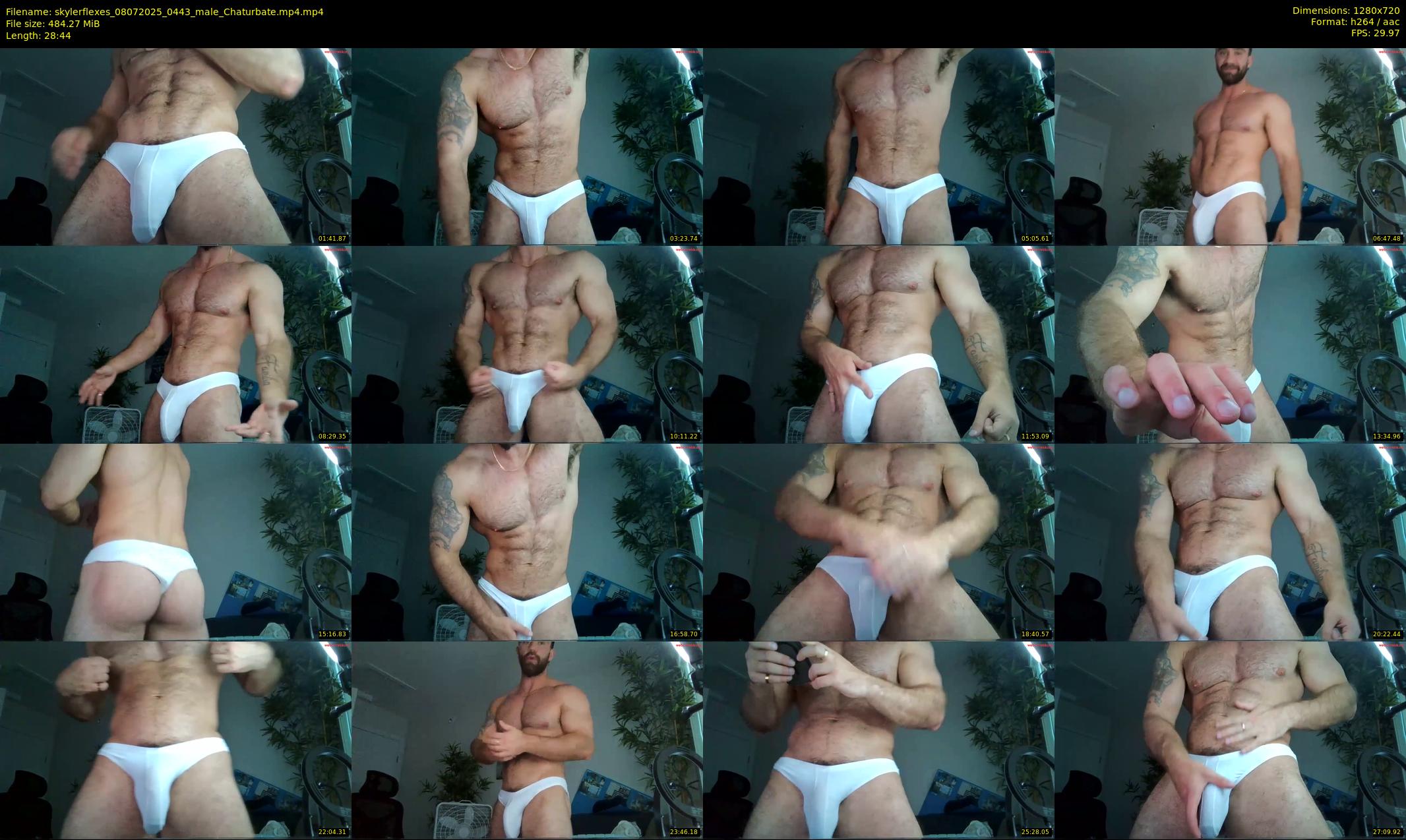 skylerflexes — 29 minute Chaturbate male cam show recording, 720p, Jul 8, 2025