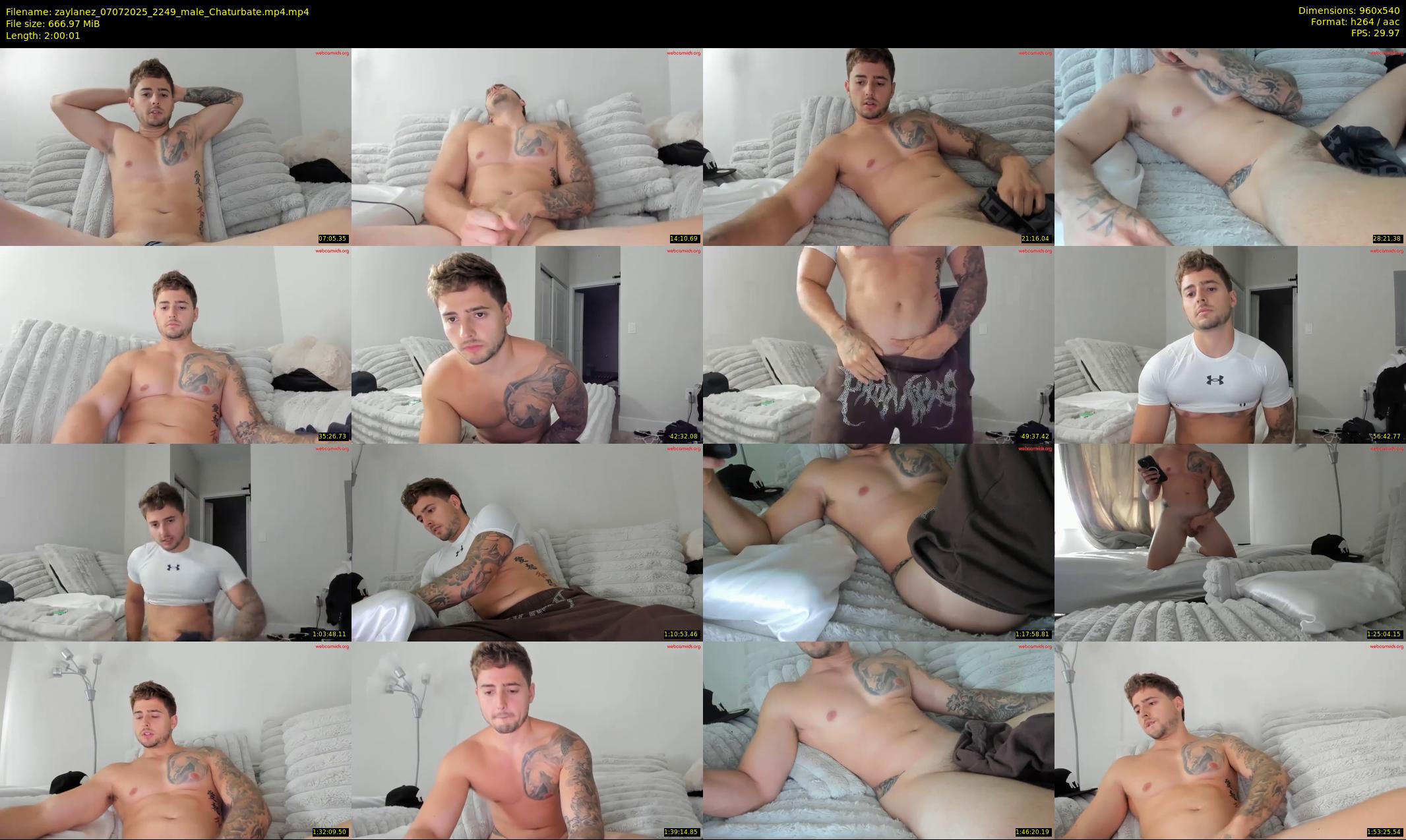 zaylanez — 121 minute Chaturbate male cam show recording, 480p, Jul 7, 2025