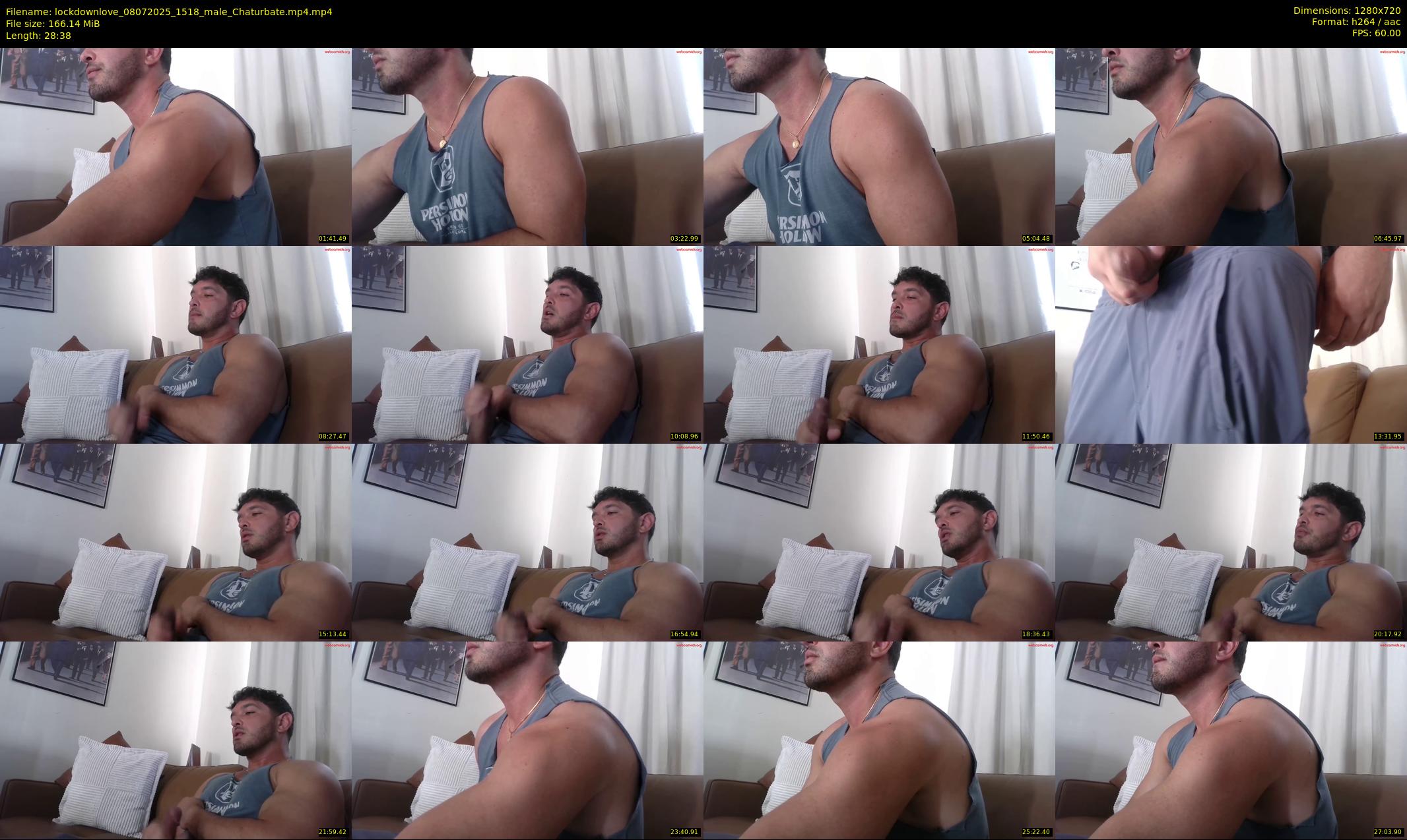 lockdownlove — 29 minute Chaturbate male cam show recording, 720p, Jul 8, 2025