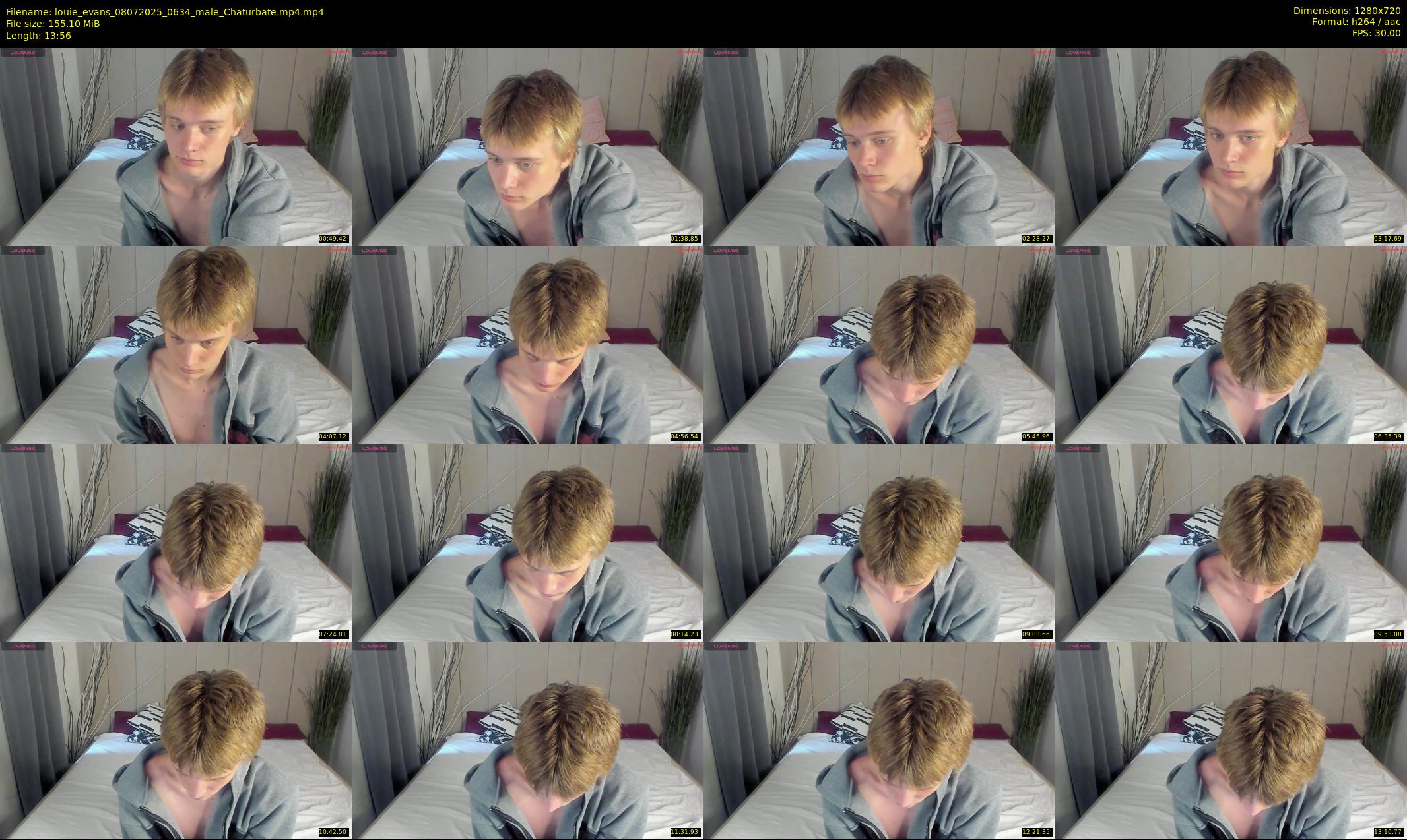 louie_evans — 14 minute Chaturbate male cam show recording, 720p, Jul 8, 2025