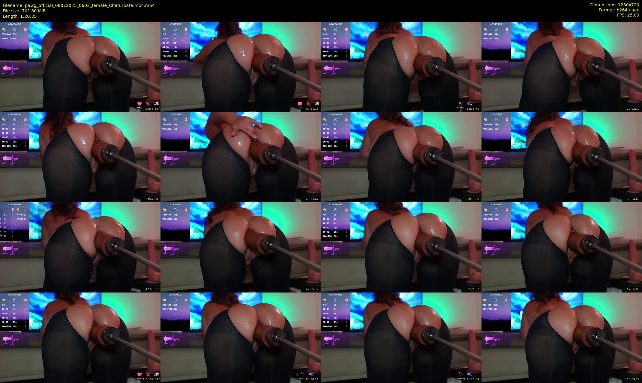 pawg_official — 81 minute Chaturbate female cam show recording, 720p, Jul 8, 2025