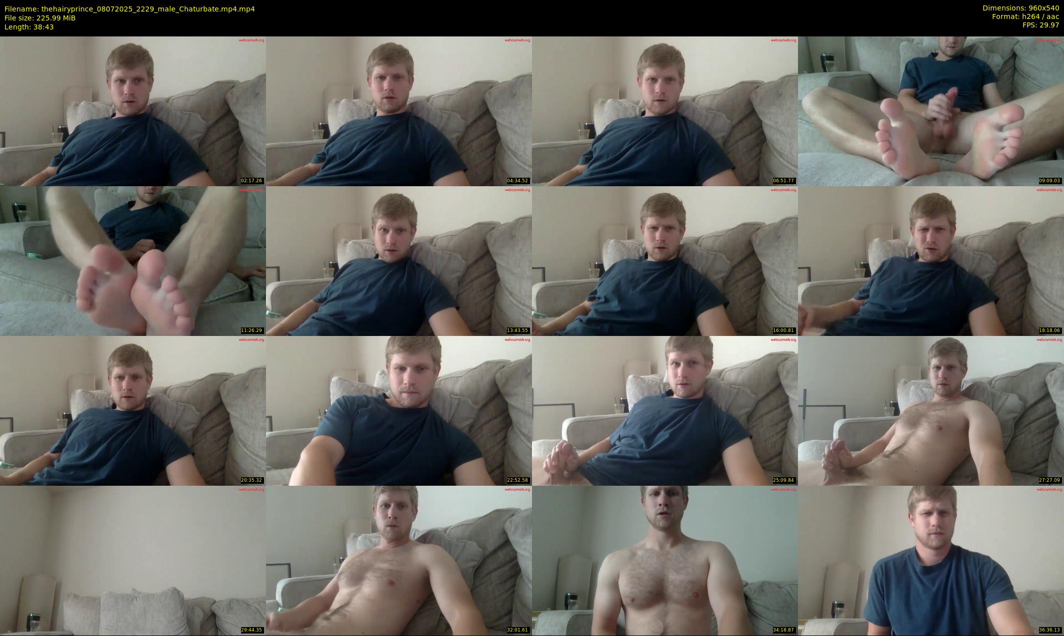 thehairyprince — 39 minute Chaturbate male cam show recording, 480p, Jul 8, 2025