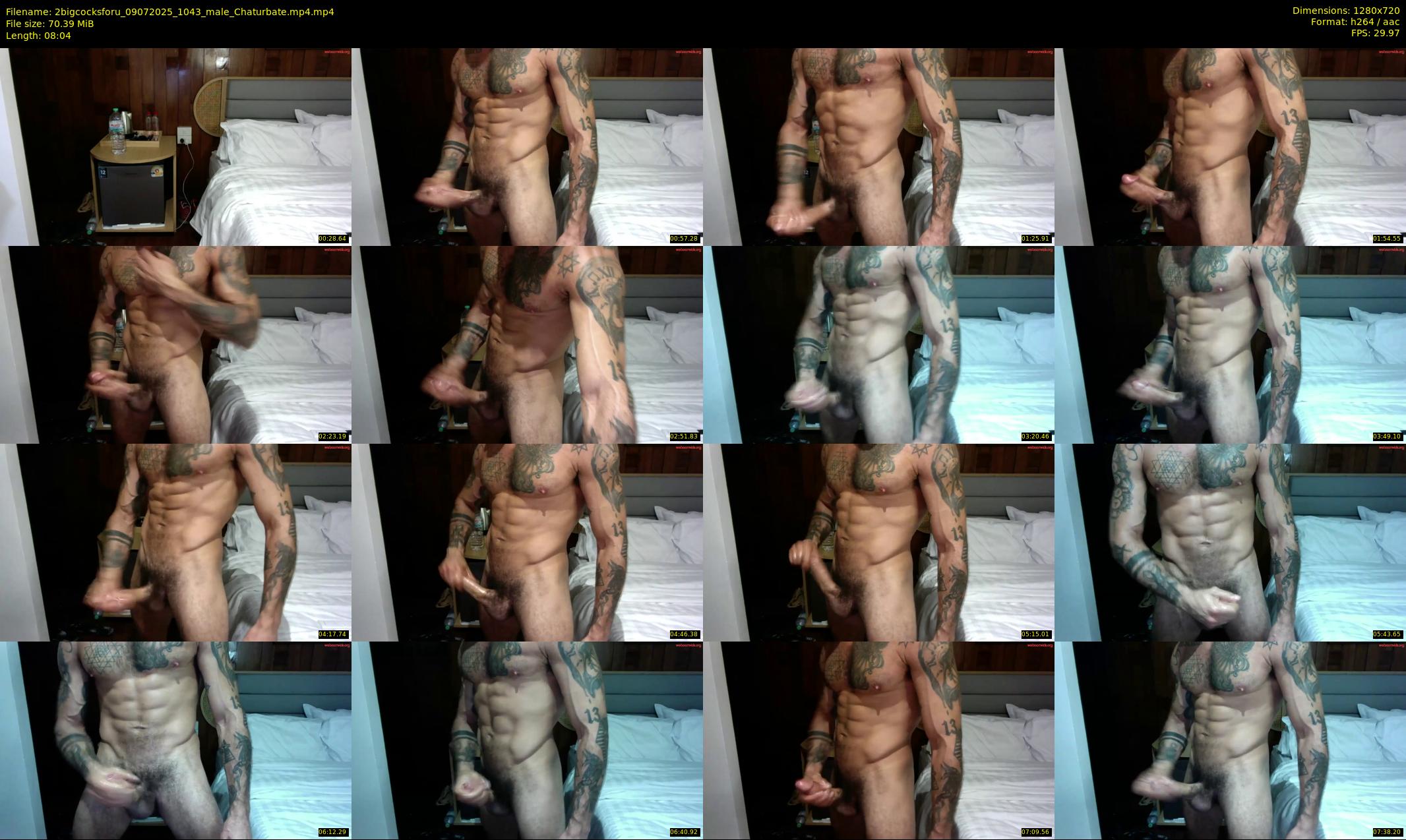2bigcocksforu — 9 minute Chaturbate male cam show recording, 720p, Jul 9, 2025