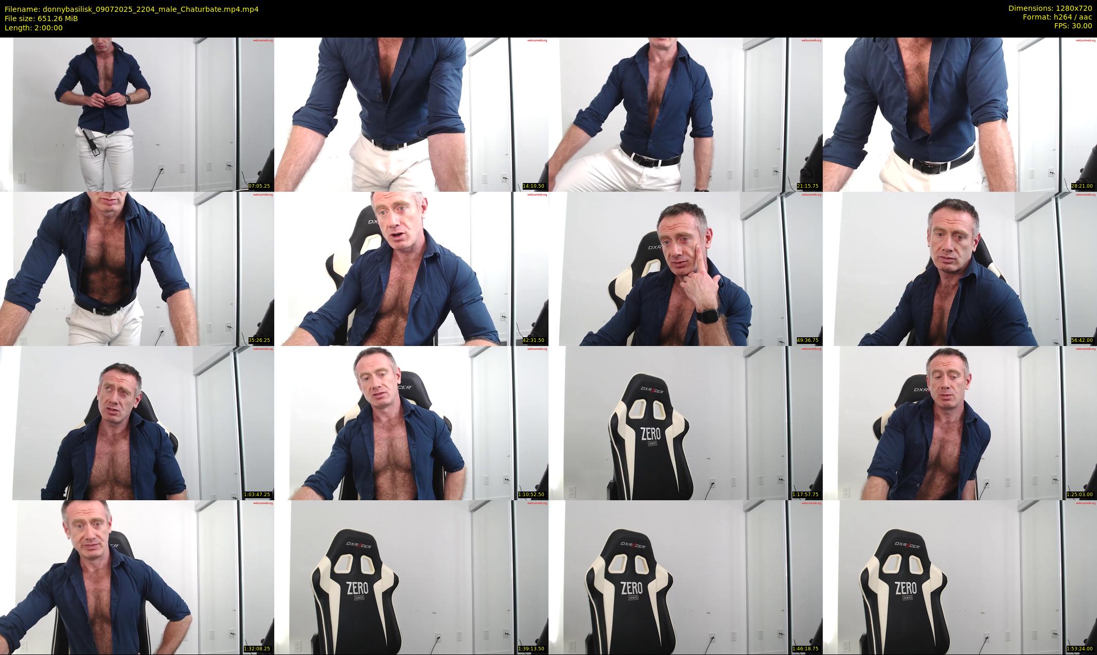 donnybasilisk — 120 minute Chaturbate male cam show recording, 720p, Jul 9, 2025