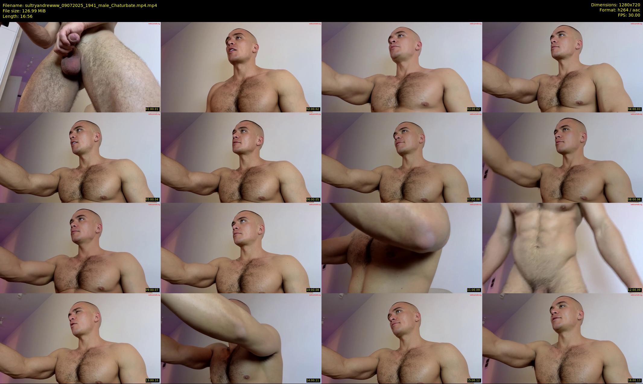 sultryandrewww — 17 minute Chaturbate male cam show recording, 720p, Jul 9, 2025