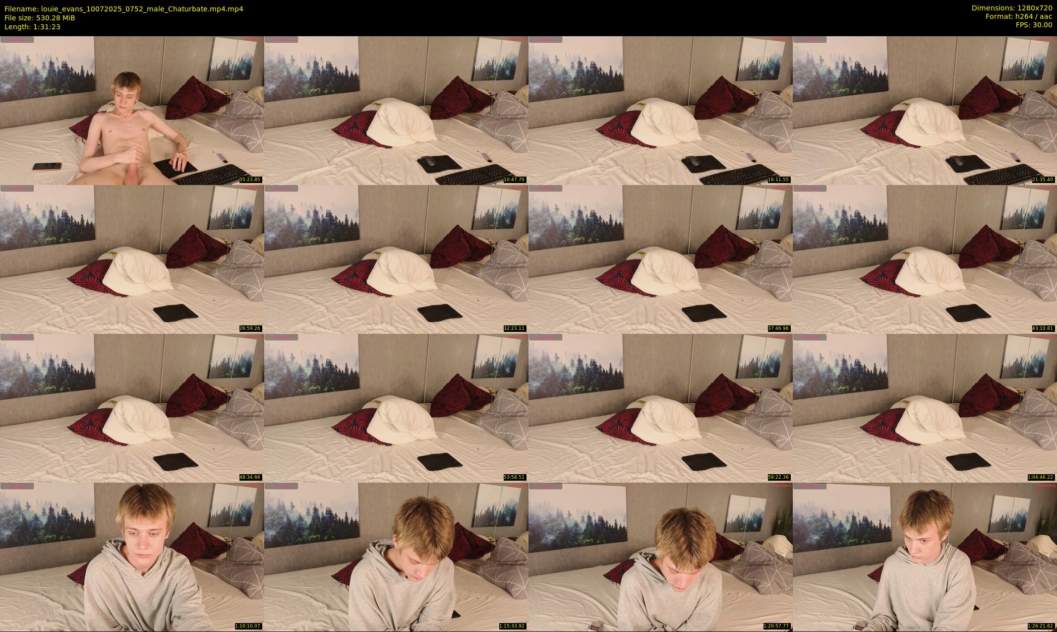 louie_evans — 92 minute Chaturbate male cam show recording, 720p, Jul 10, 2025