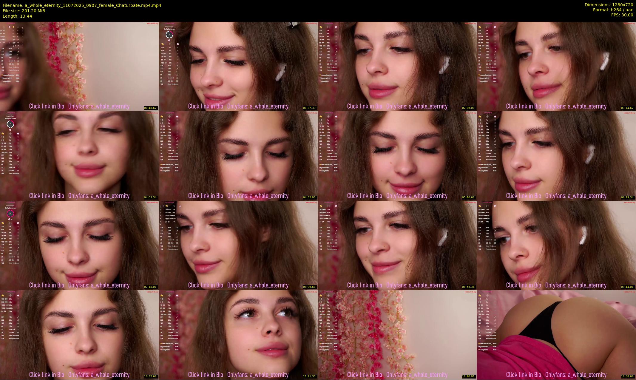 a_whole_eternity — 14 minute Chaturbate female cam show recording, 720p, Jul 11, 2025