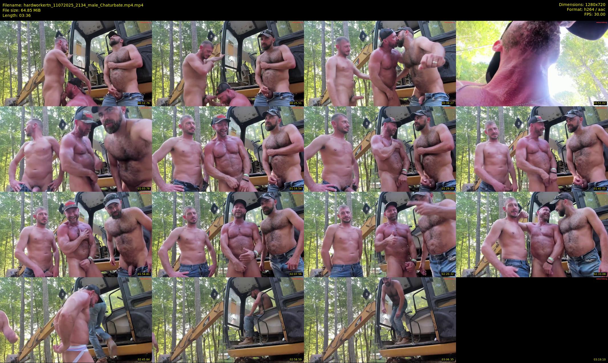 hardworkertn — 4 minute Chaturbate male cam show recording, 720p, Jul 11, 2025