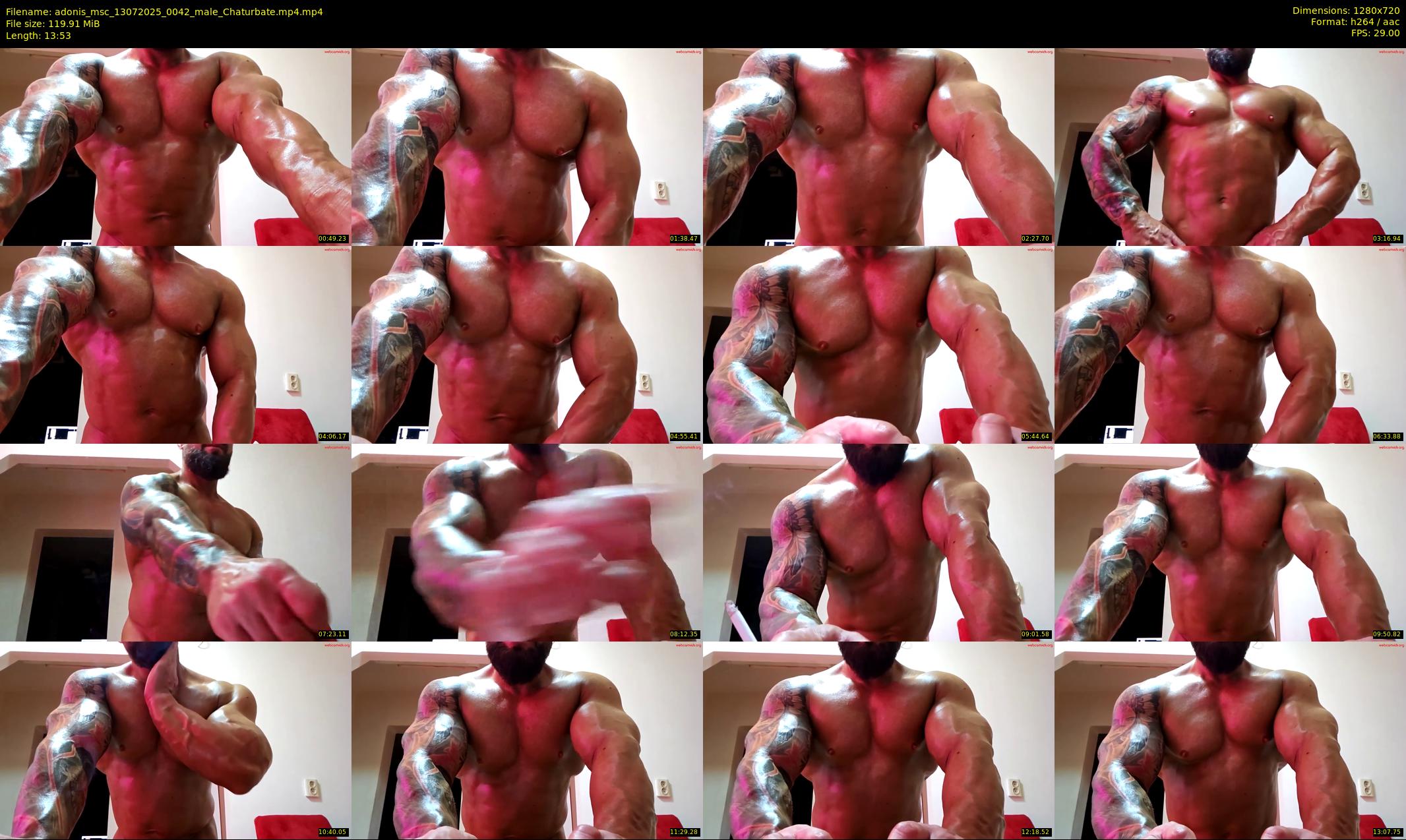 adonis_msc — 14 minute Chaturbate male cam show recording, 720p, Jul 13, 2025