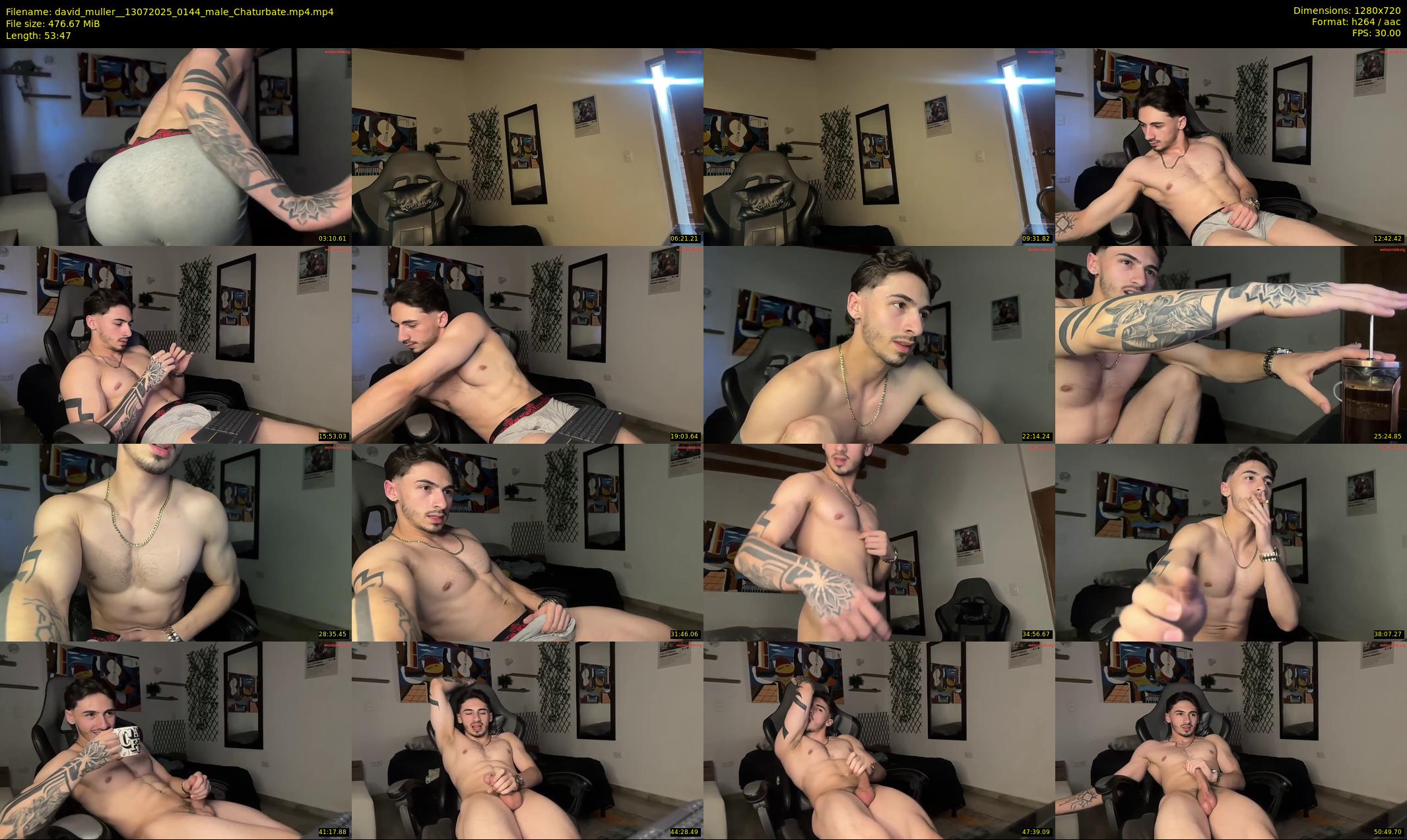 david_muller_ — 54 minute Chaturbate male cam show recording, 720p, Jul 13, 2025