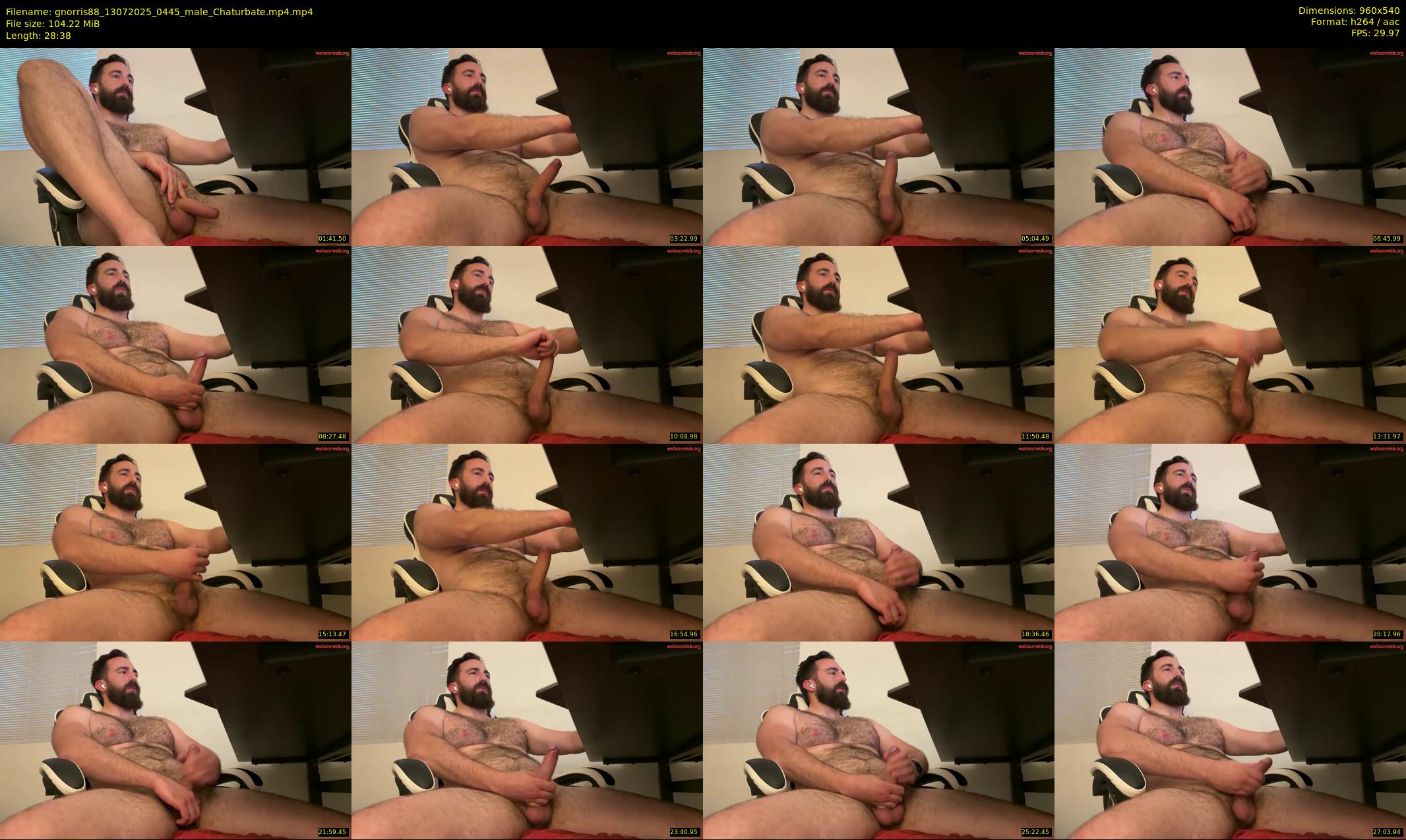 gnorris88 — 29 minute Chaturbate male cam show recording, 480p, Jul 13, 2025
