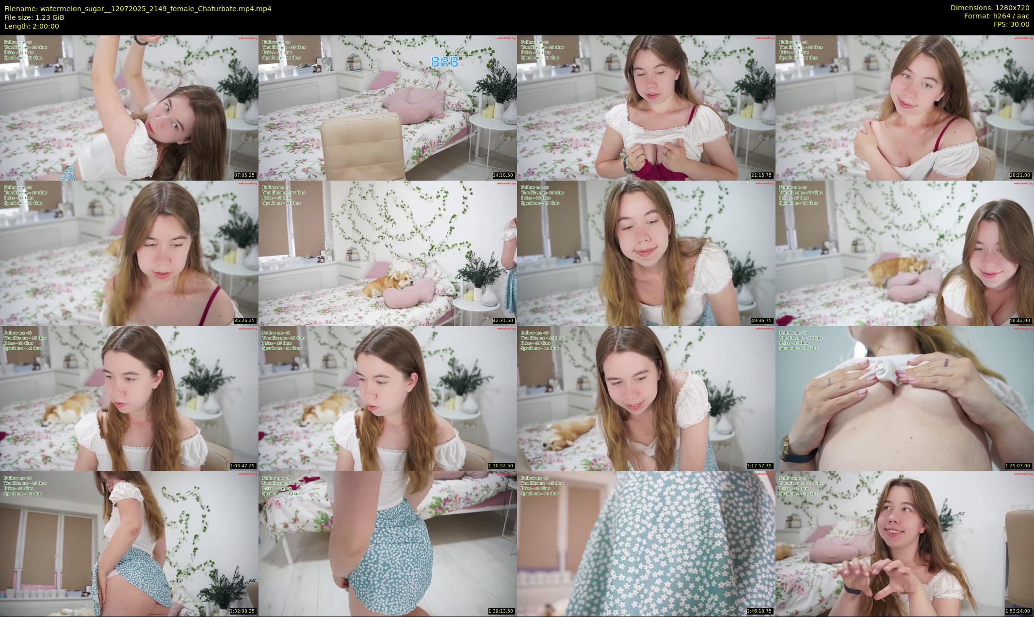 watermelon_sugar_ — 120 minute Chaturbate female cam show recording, 720p, Jul 12, 2025