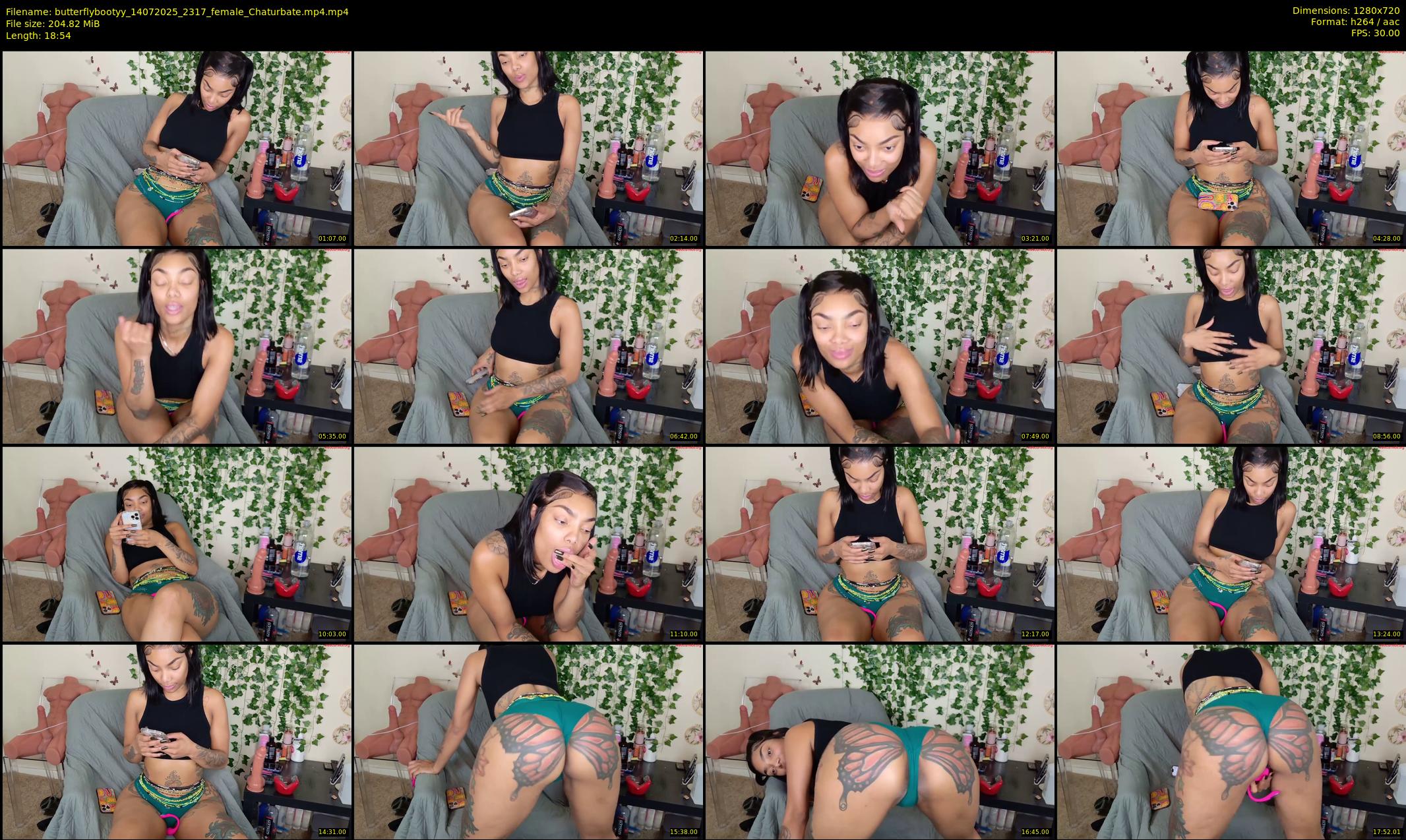 butterflybootyy — 19 minute Chaturbate female cam show recording, 720p, Jul 14, 2025