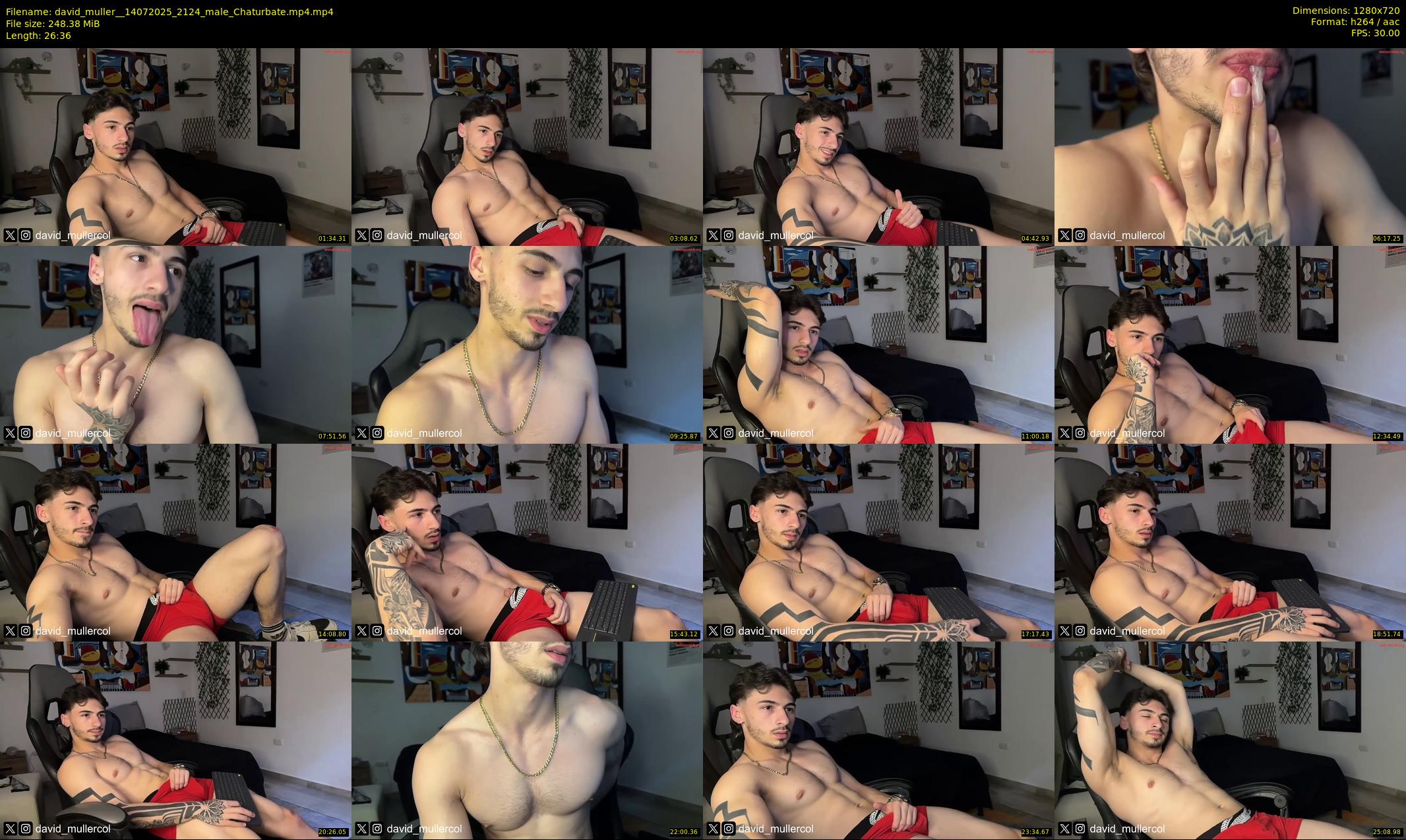 david_muller_ — 27 minute Chaturbate male cam show recording, 720p, Jul 14, 2025