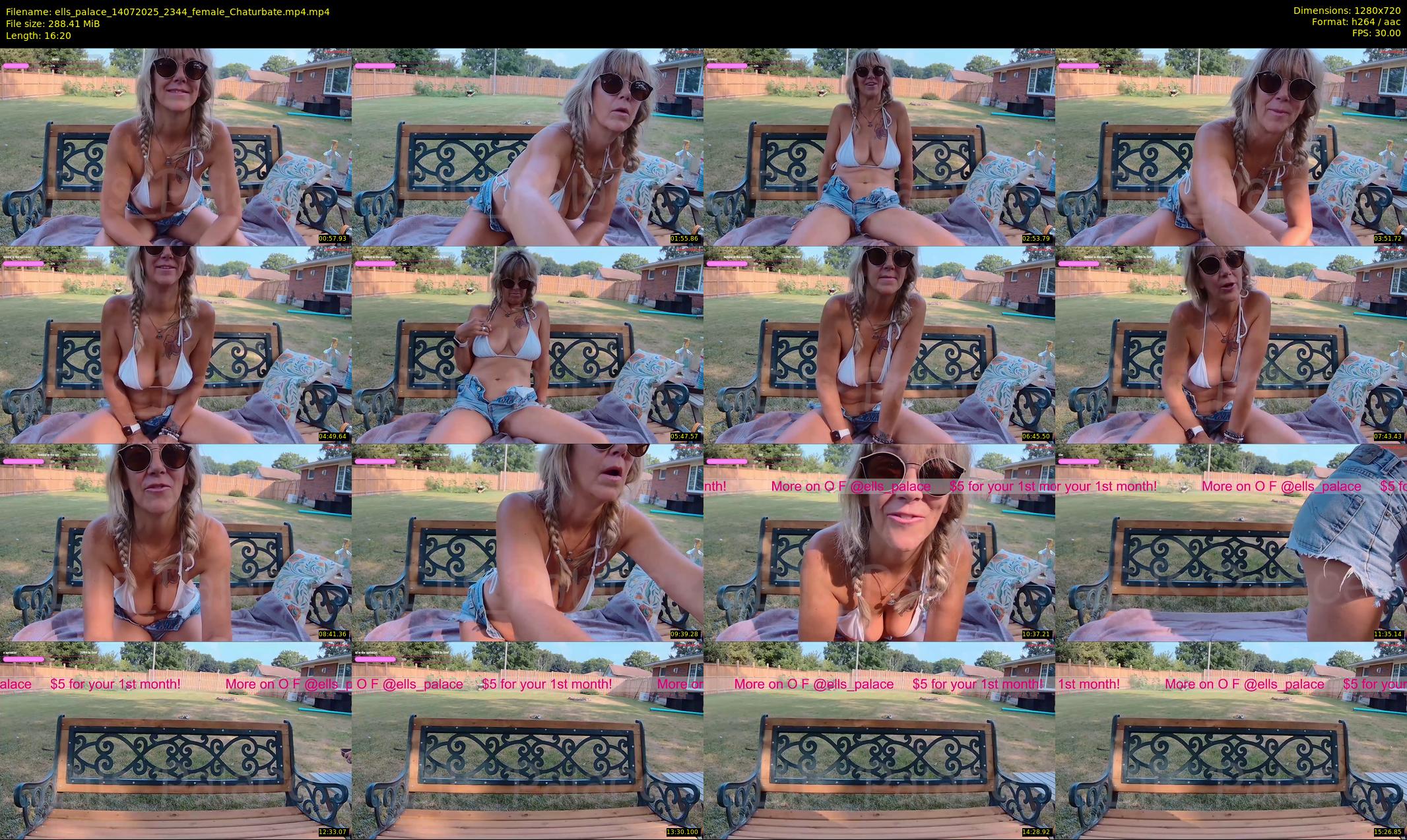 ells_palace — 17 minute Chaturbate female cam show recording, 720p, Jul 14, 2025