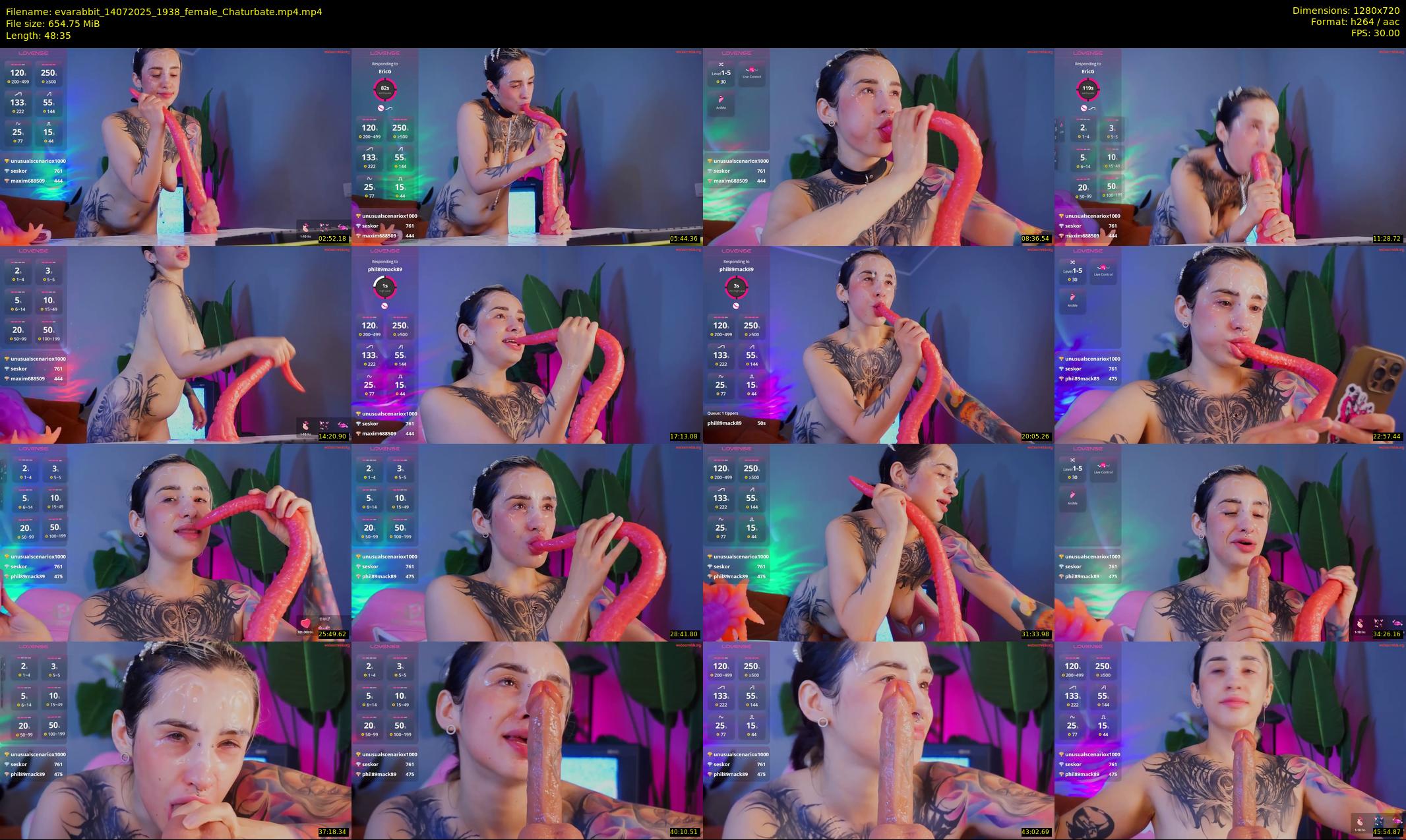 evarabbit — 49 minute Chaturbate female cam show recording, 720p, Jul 14, 2025