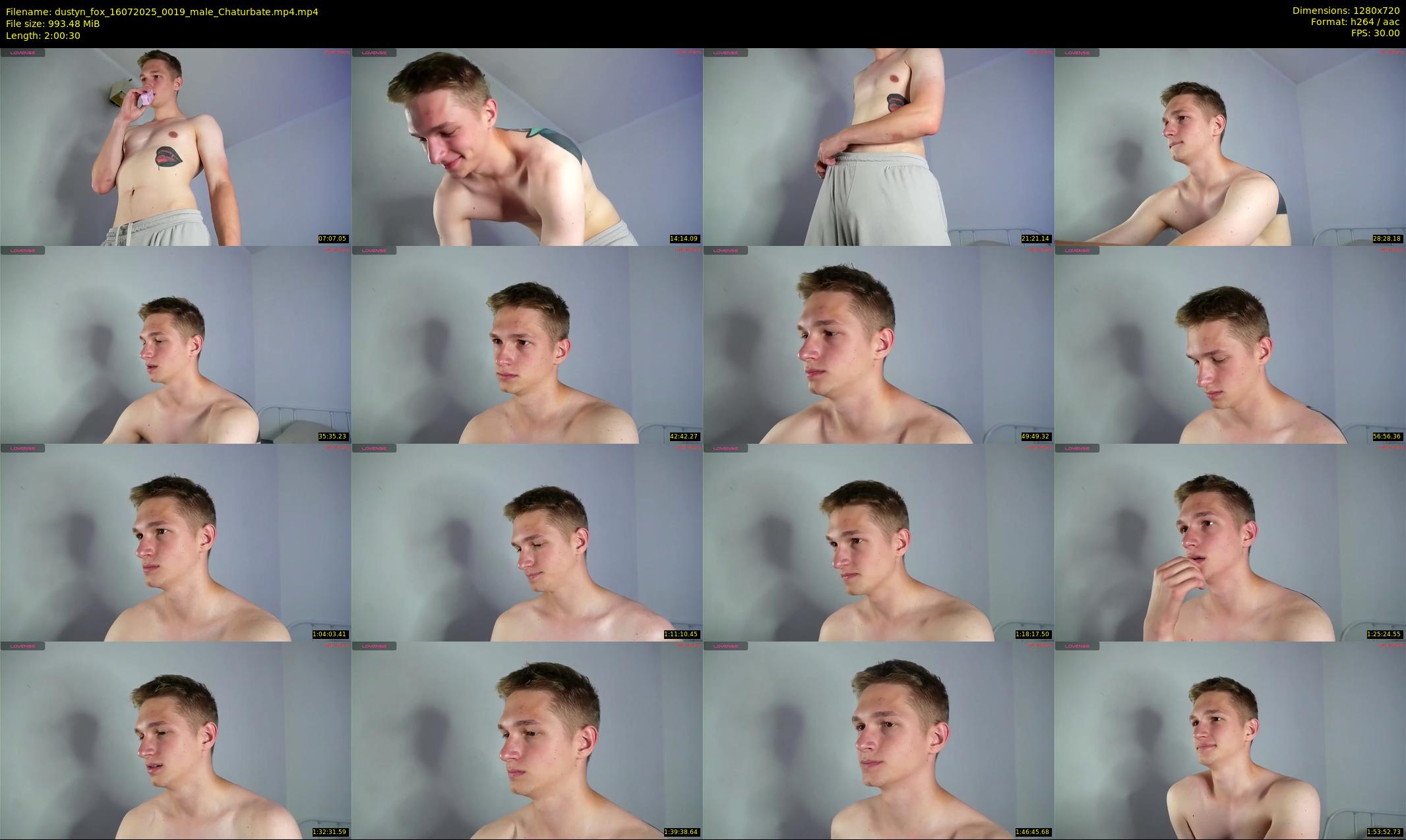 dustyn_fox — 121 minute Chaturbate male cam show recording, 720p, Jul 16, 2025