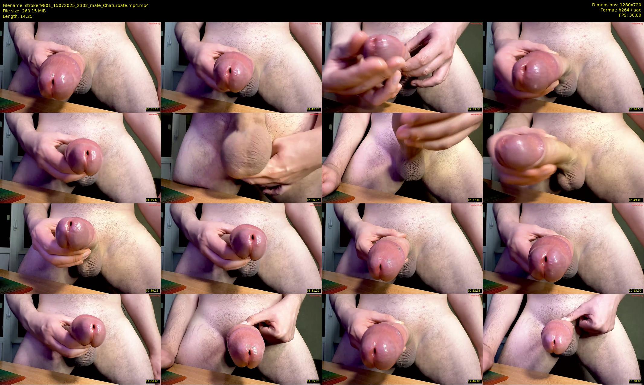 stroker9801 — 15 minute Chaturbate male cam show recording, 720p, Jul 15, 2025