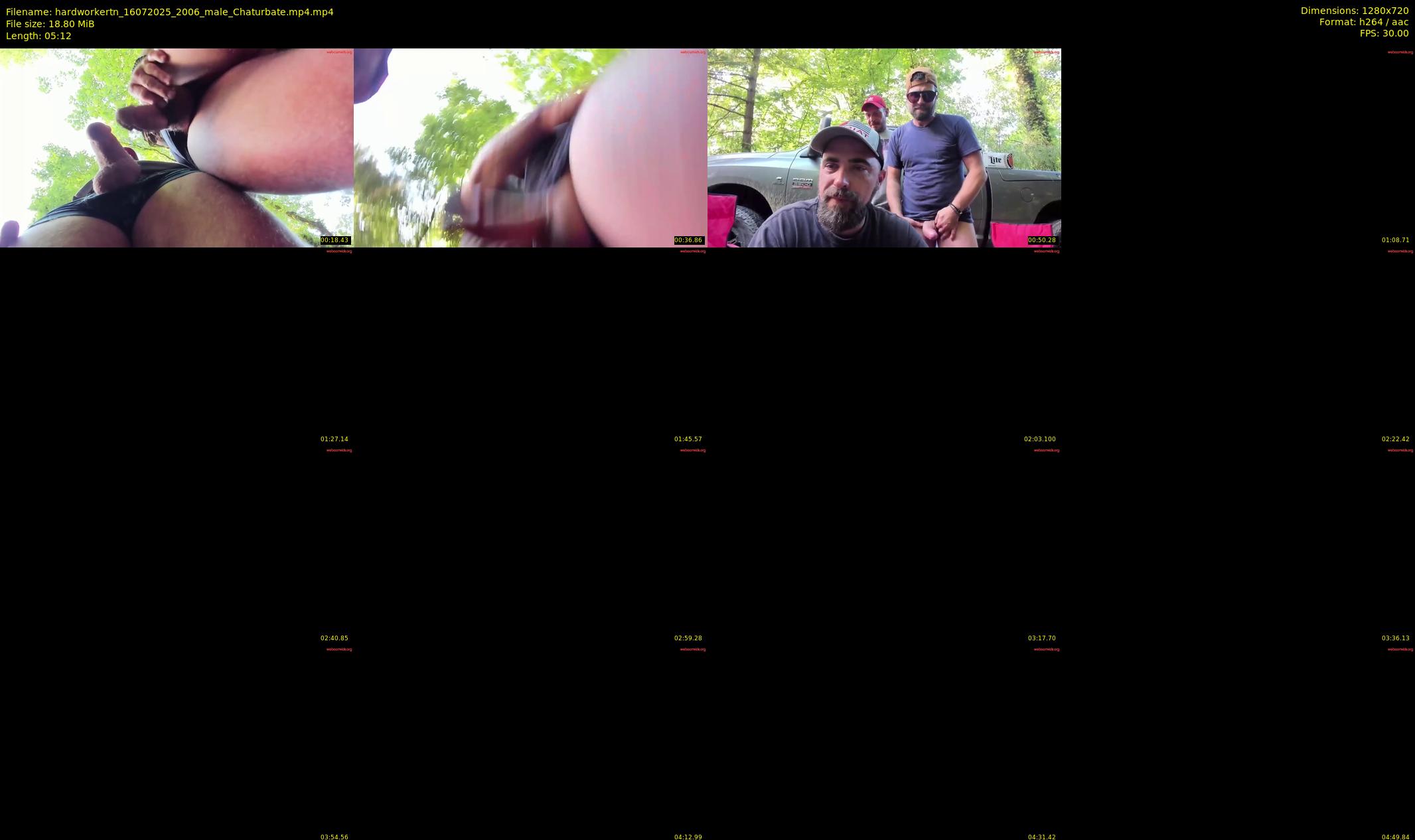hardworkertn — 6 minute Chaturbate male cam show recording, 720p, Jul 16, 2025