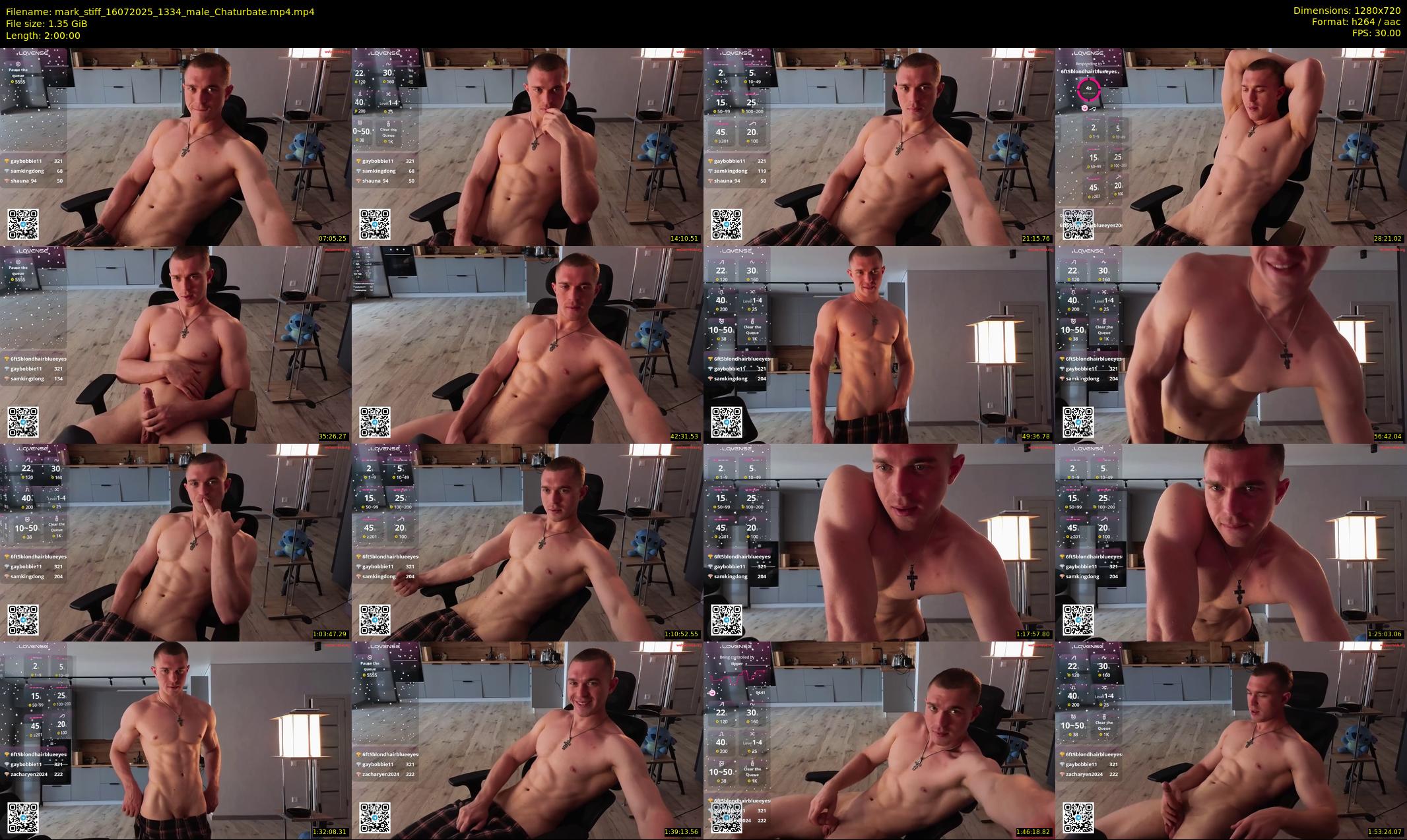 mark_stiff — 120 minute Chaturbate male cam show recording, 720p, Jul 16, 2025